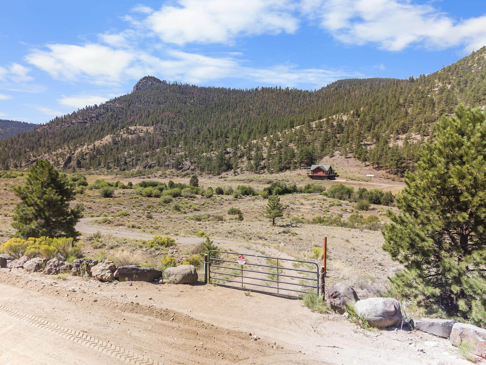 Dusty rural road leading to a metal gate, rocky foreground, and sparse shrubs with a pine-covered hillside and small cabin in the distance under a blue sky.