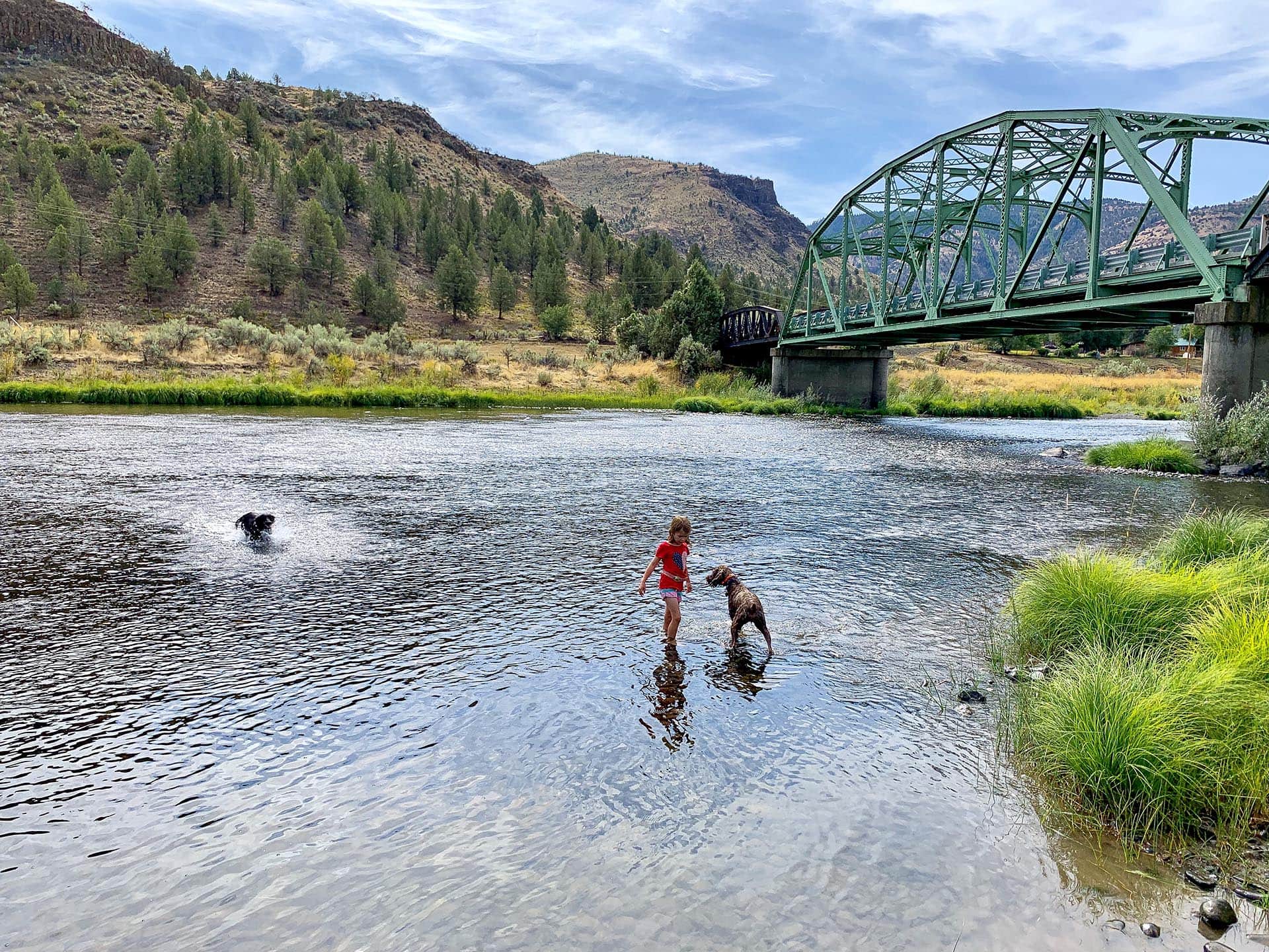 Children and dogs playing in a shallow river beneath a green truss bridge with hills in the background.