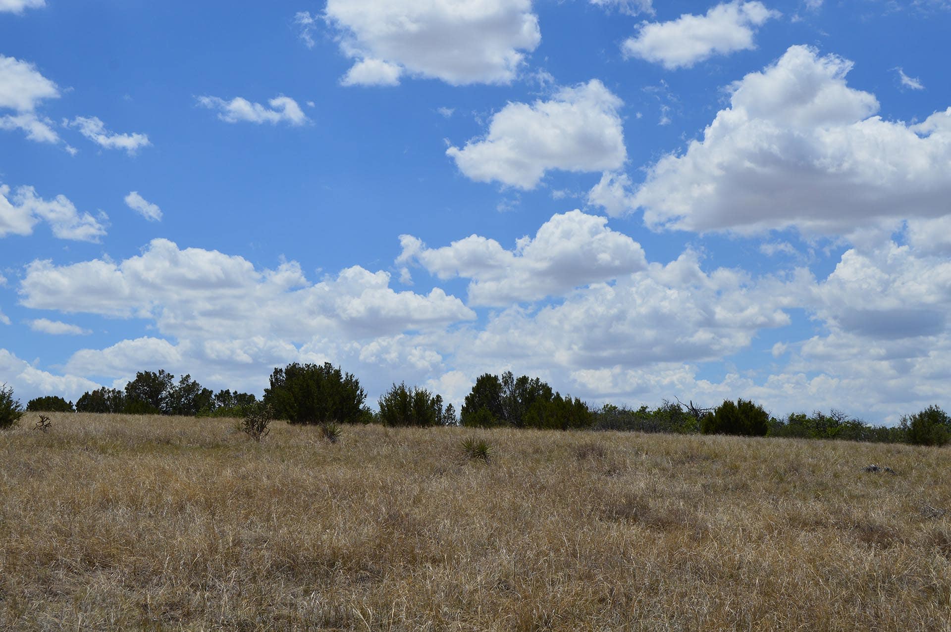 gmu 86 ranch for sale co colorado 6 s ranch