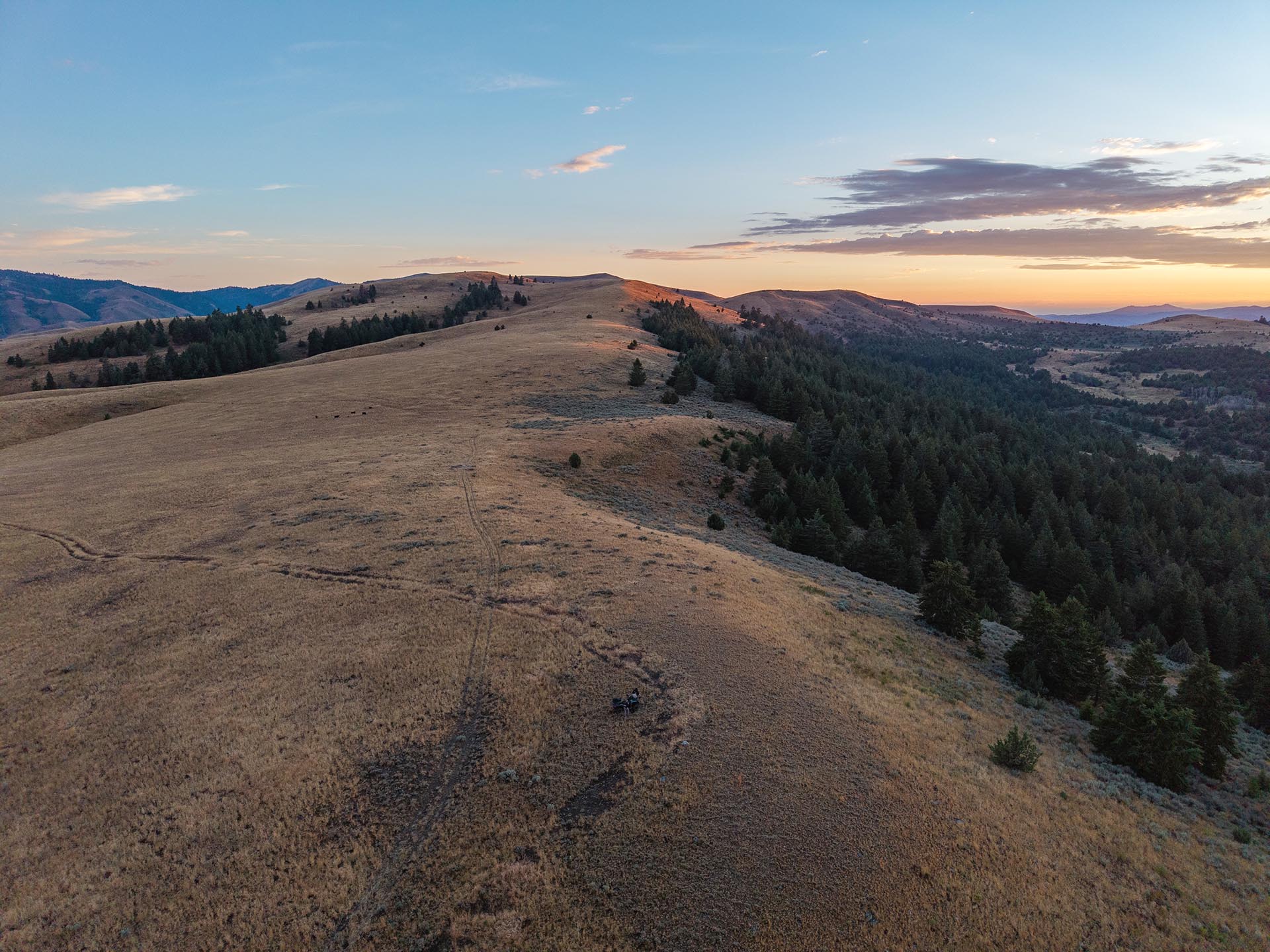 golden ridge line with path hunting sporting oregon powell creek ranch