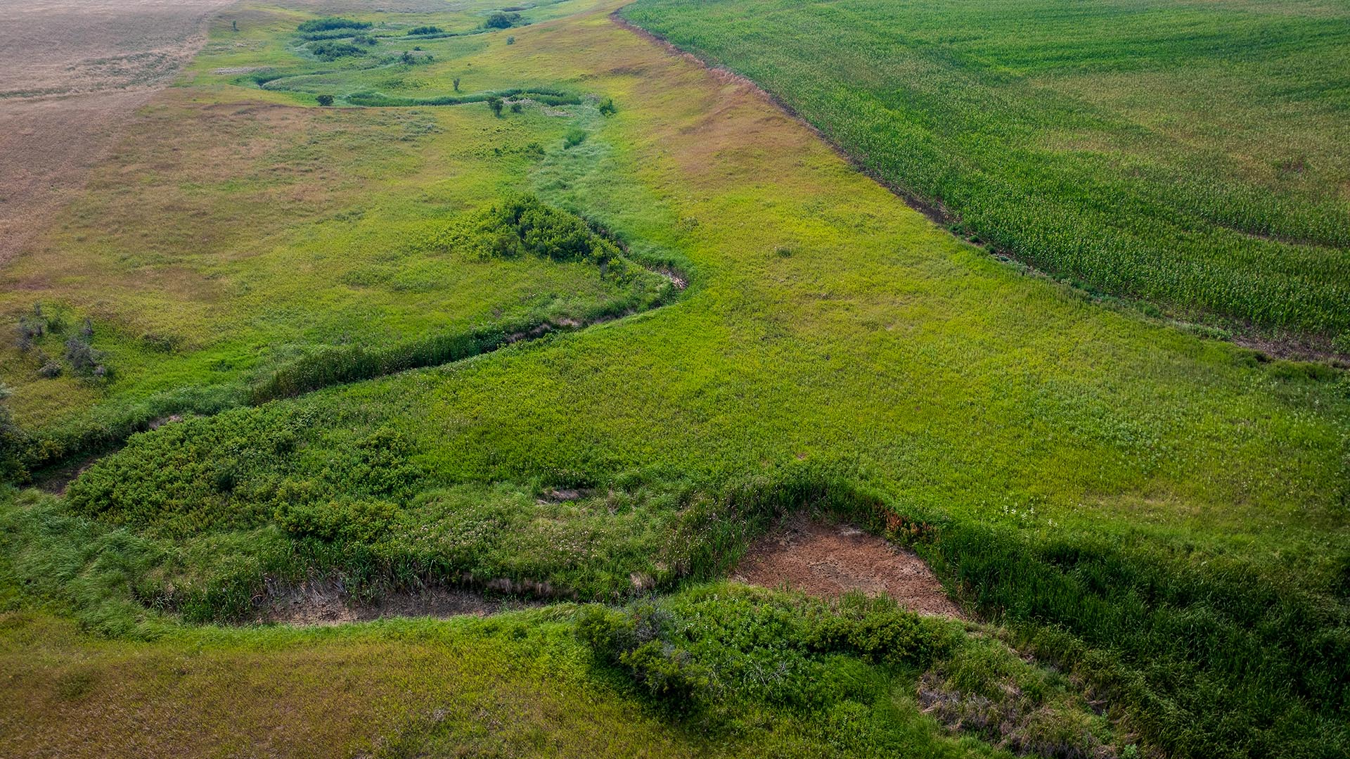 Aerial view of green fields with a winding, grassy path cutting through the landscape.