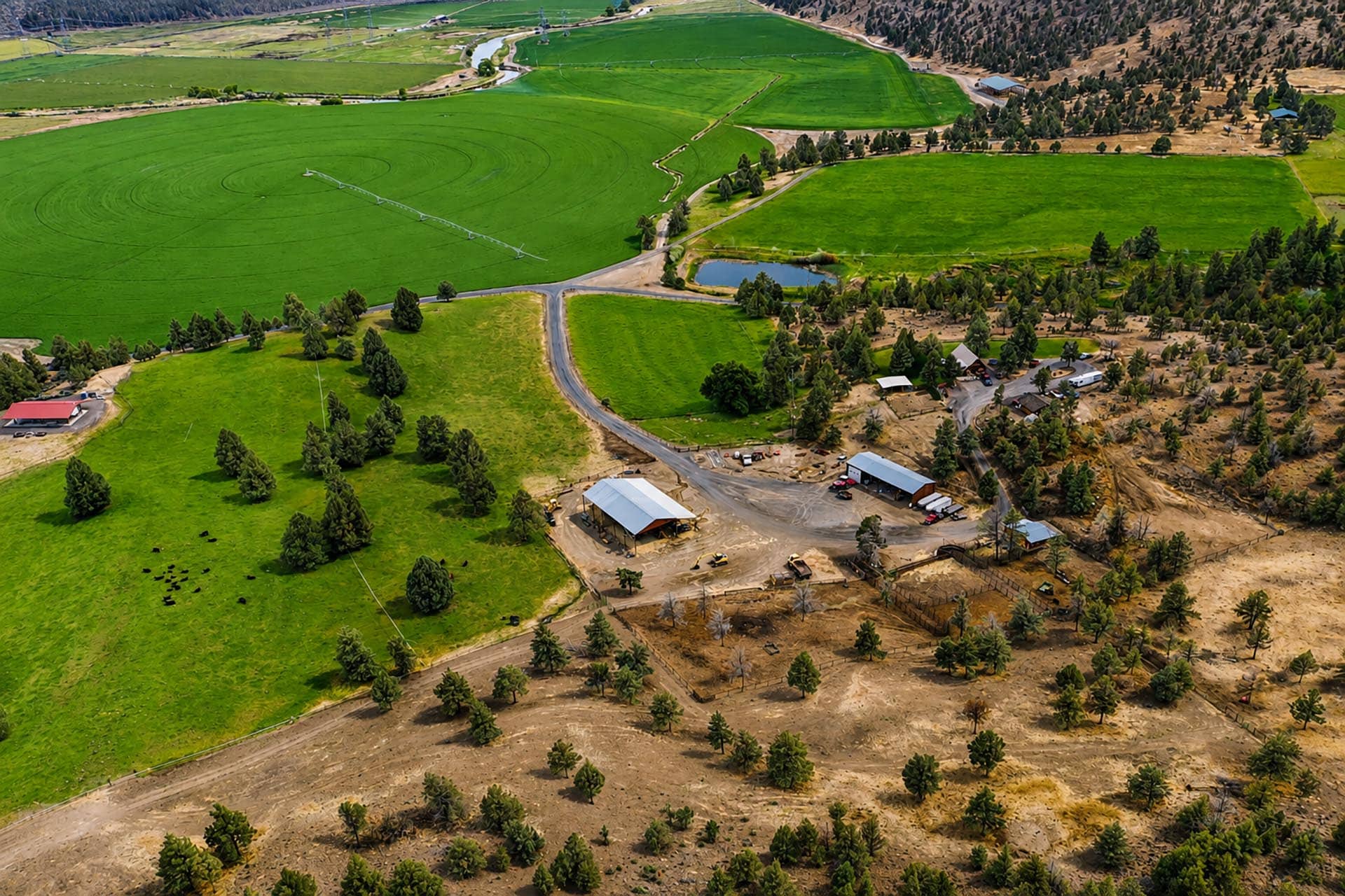 hay & cattle operation oregon crooked river legacy ranch