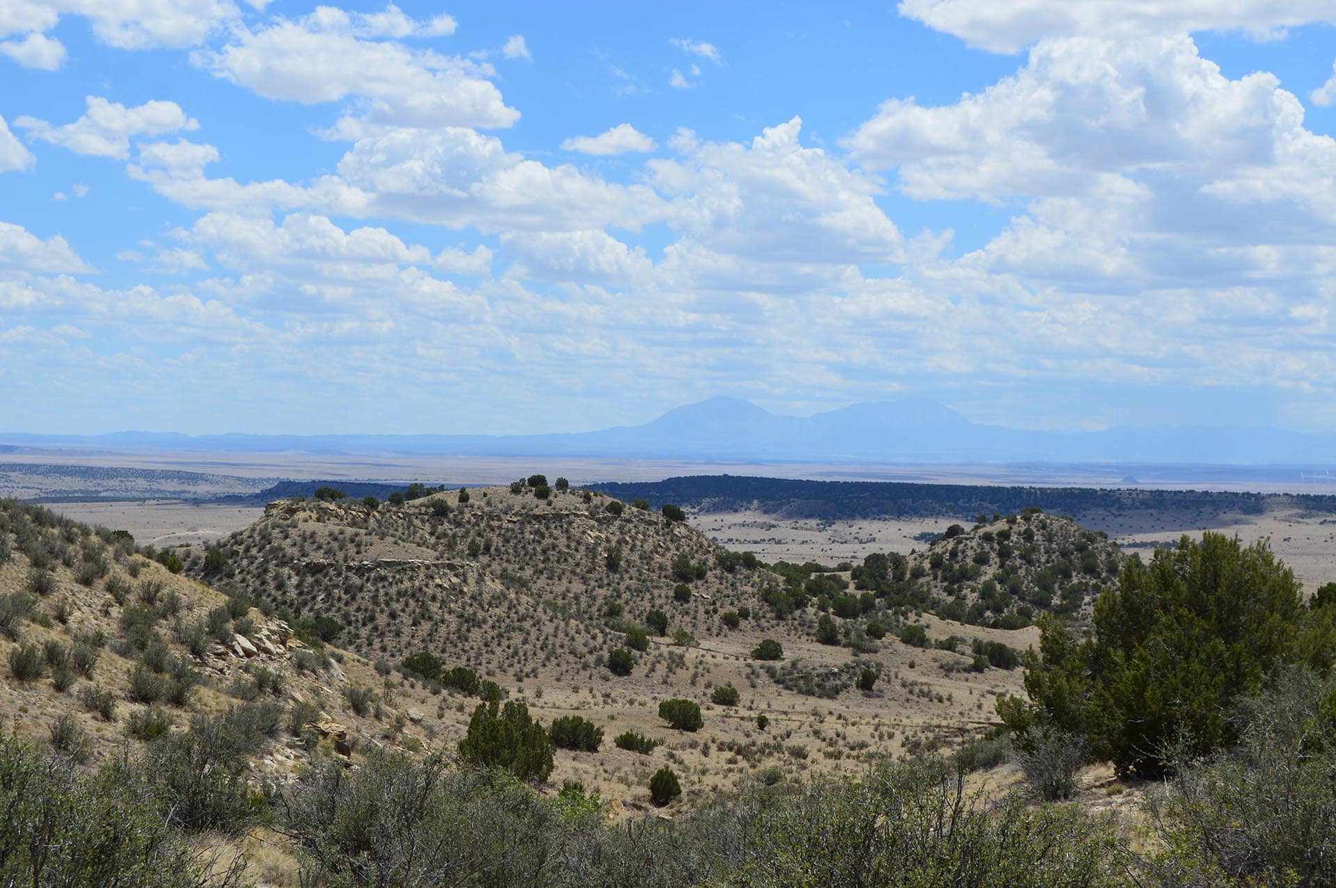 horse property for sale pueblo county co colorado 6 s ranch