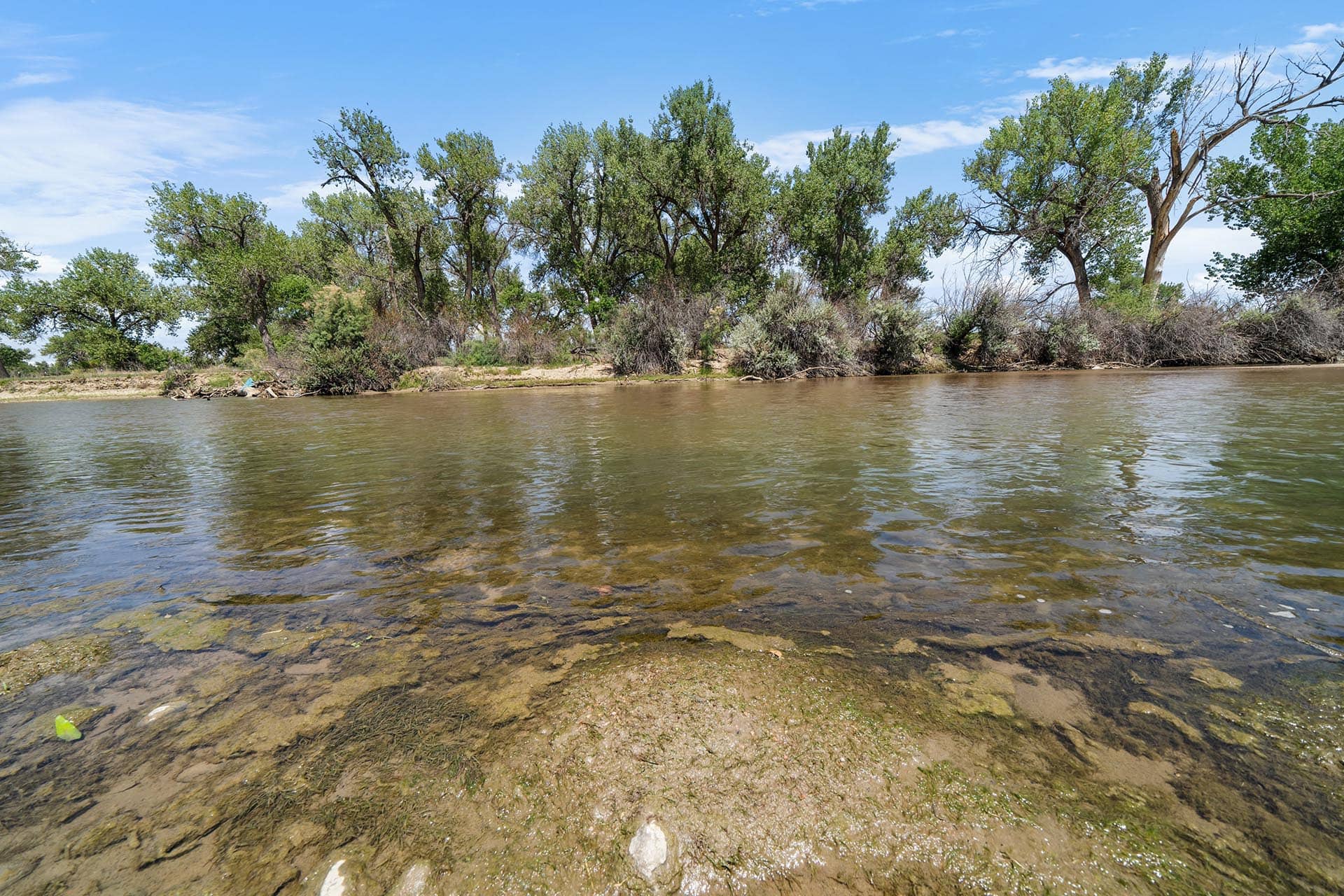 Shallow river by a wooded shore with green trees under a blue sky, calm water and rocky bank in the foreground.