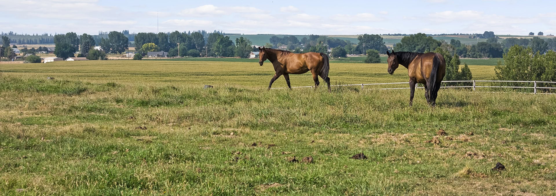 idaho ranches for sale equestrian estate lot