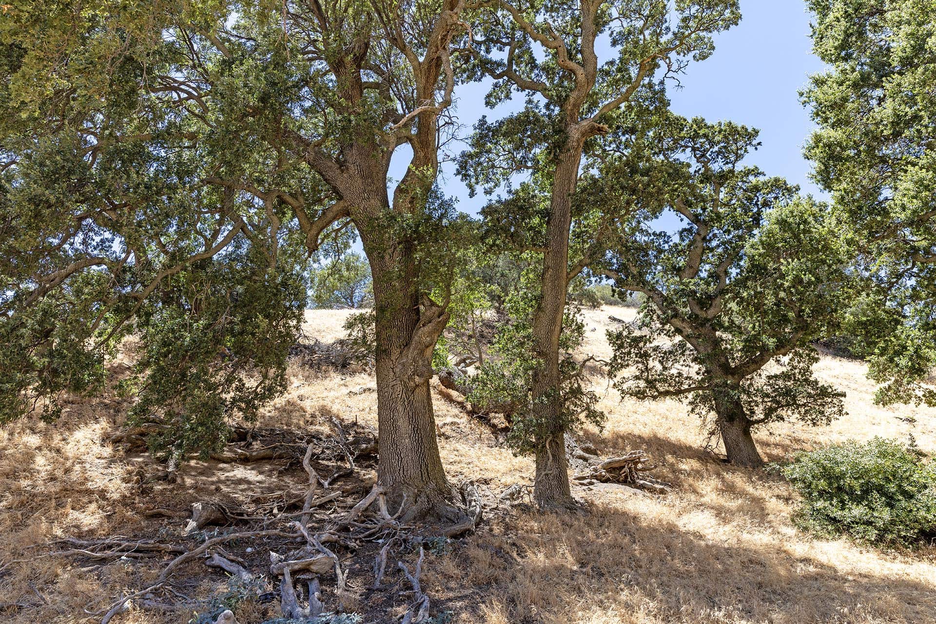 land for sale in southern california gorman post ranch