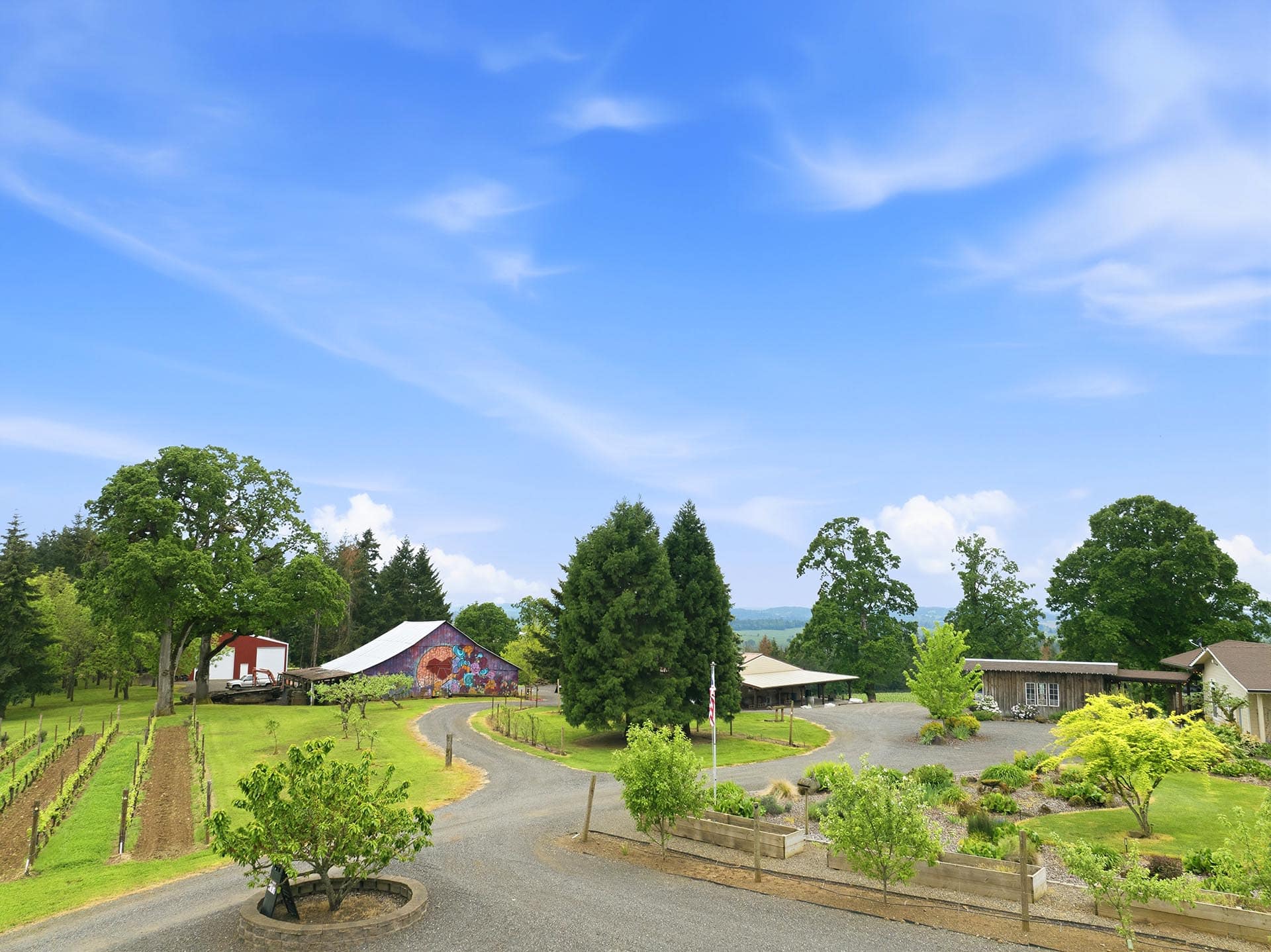 Sunny rural yard with a winding gravel path, trees, and a mural-painted barn in the background under a blue sky.