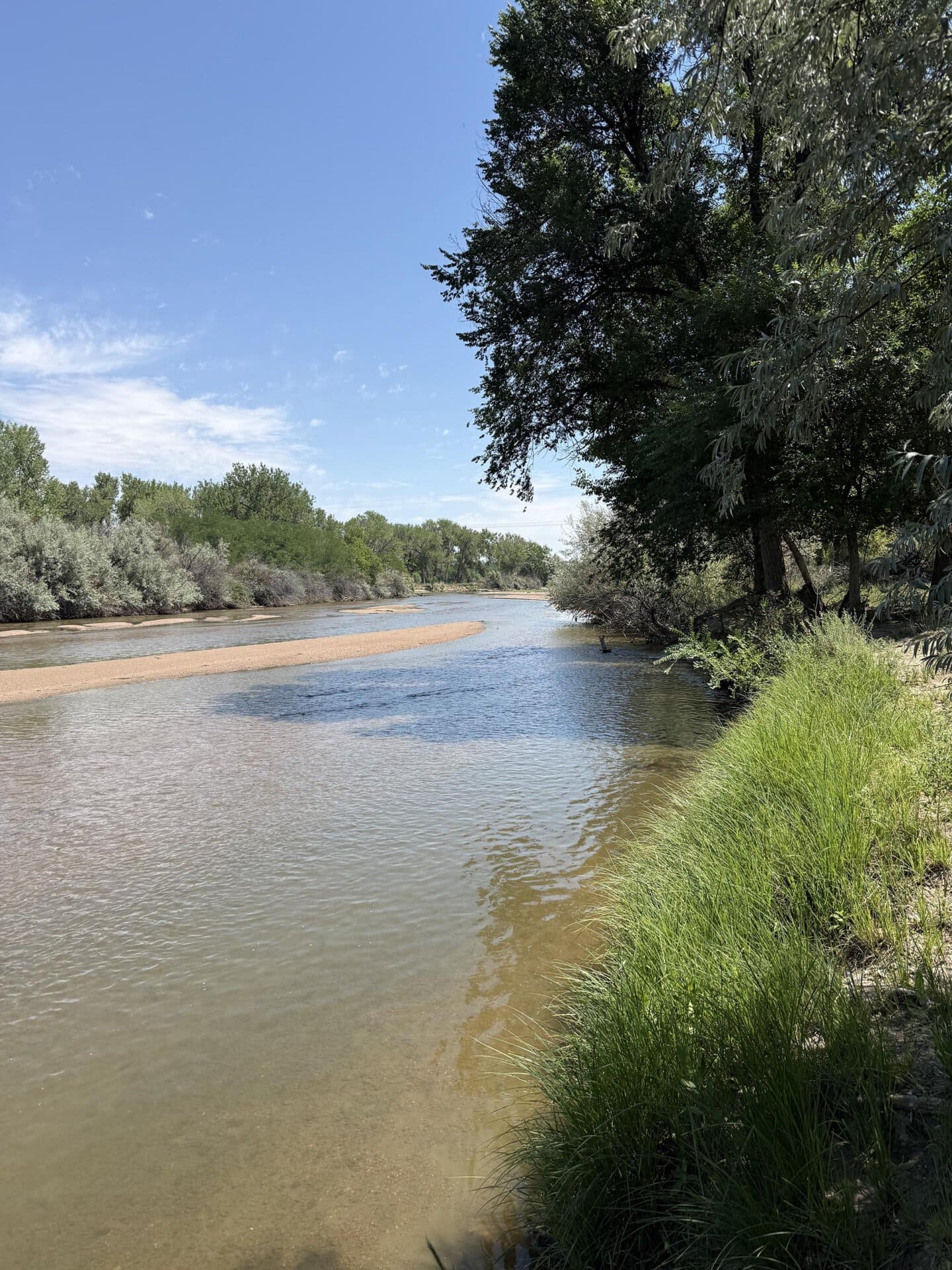 A calm river bends through a green riverside with tall grasses along the banks and trees on the right under a blue sky.