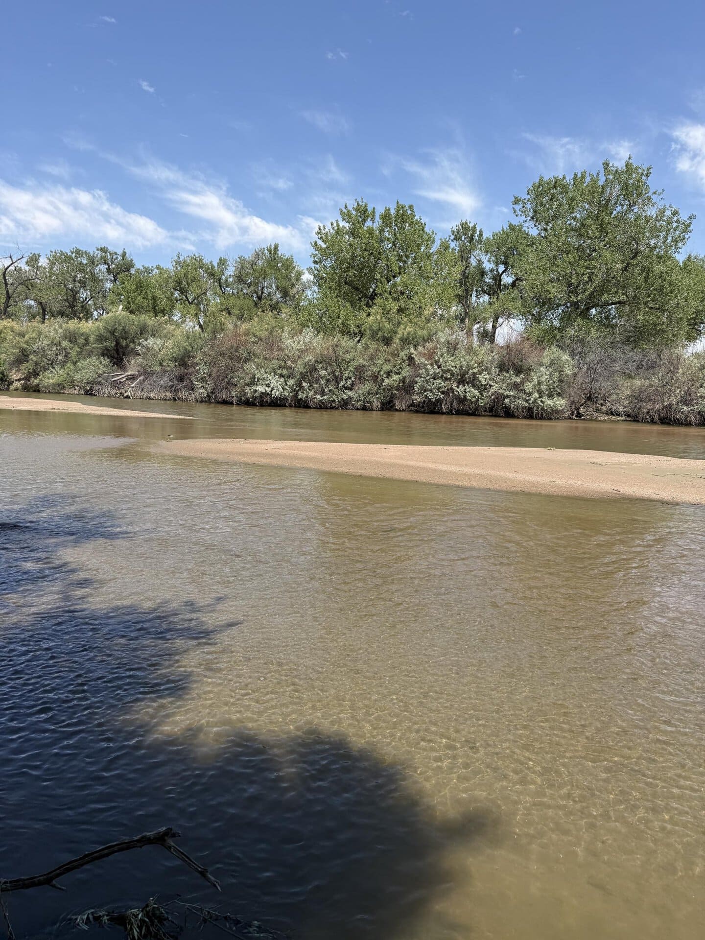 A calm river with a sandy bank and dense green shrubs along the shore under a bright blue sky.