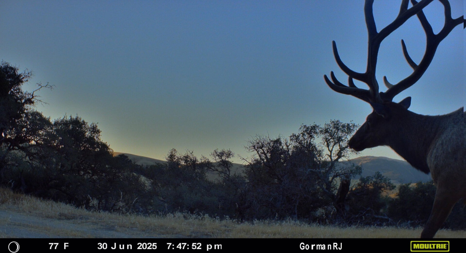 large acreage hunting ranch with elk los angeles county california gorman post ranch