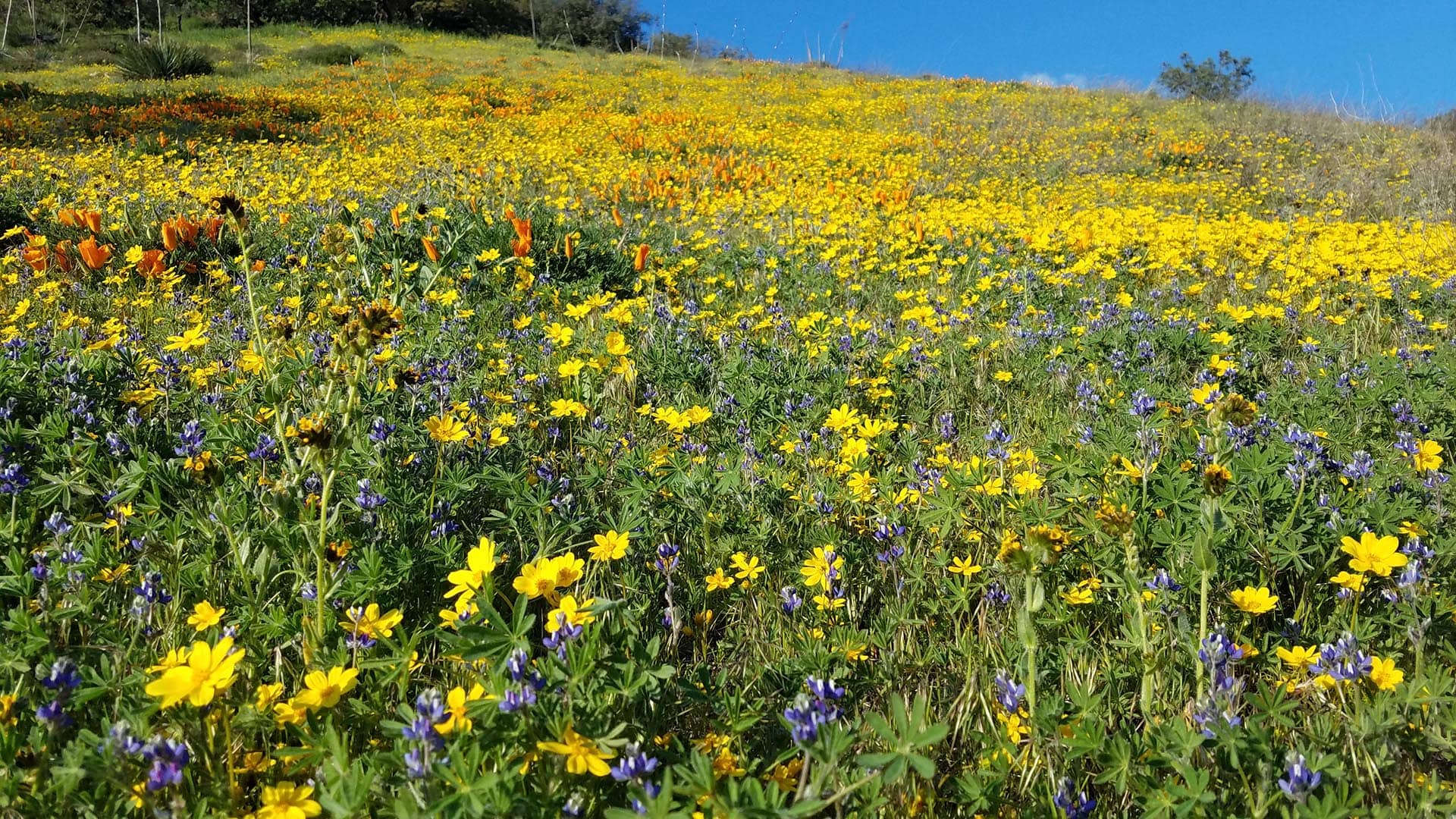 large acreage land for sale southern california gorman post ranch