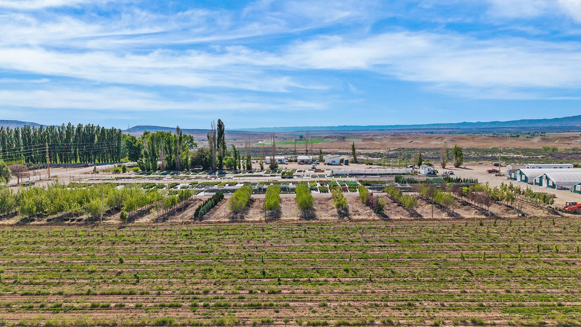 A wide farm with neatly planted rows of crops and an orchard, buildings and vehicles in the mid-ground, rolling hills in the distance under a blue sky.