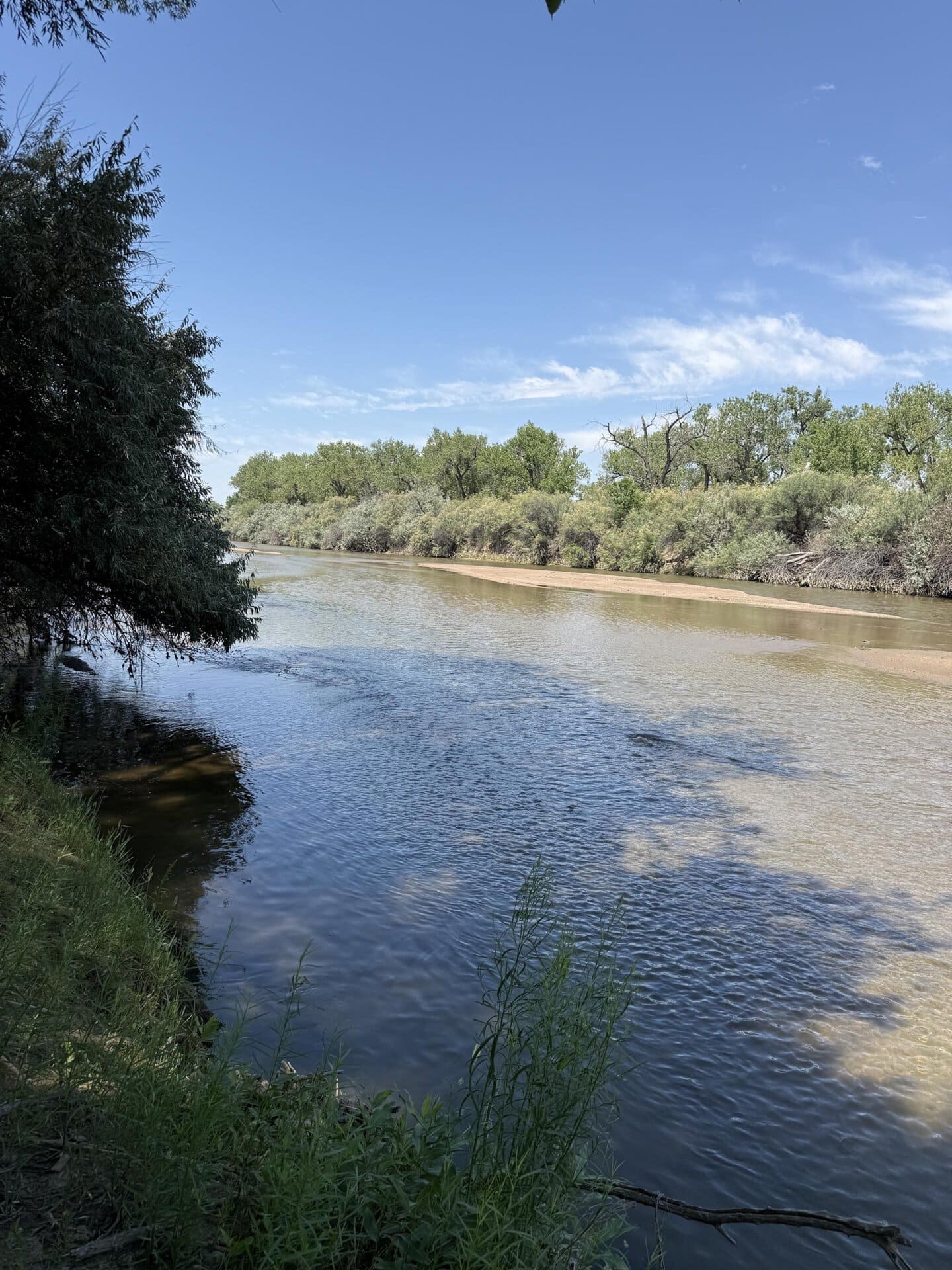 A calm river runs alongside a tree-lined bank under a clear blue sky.