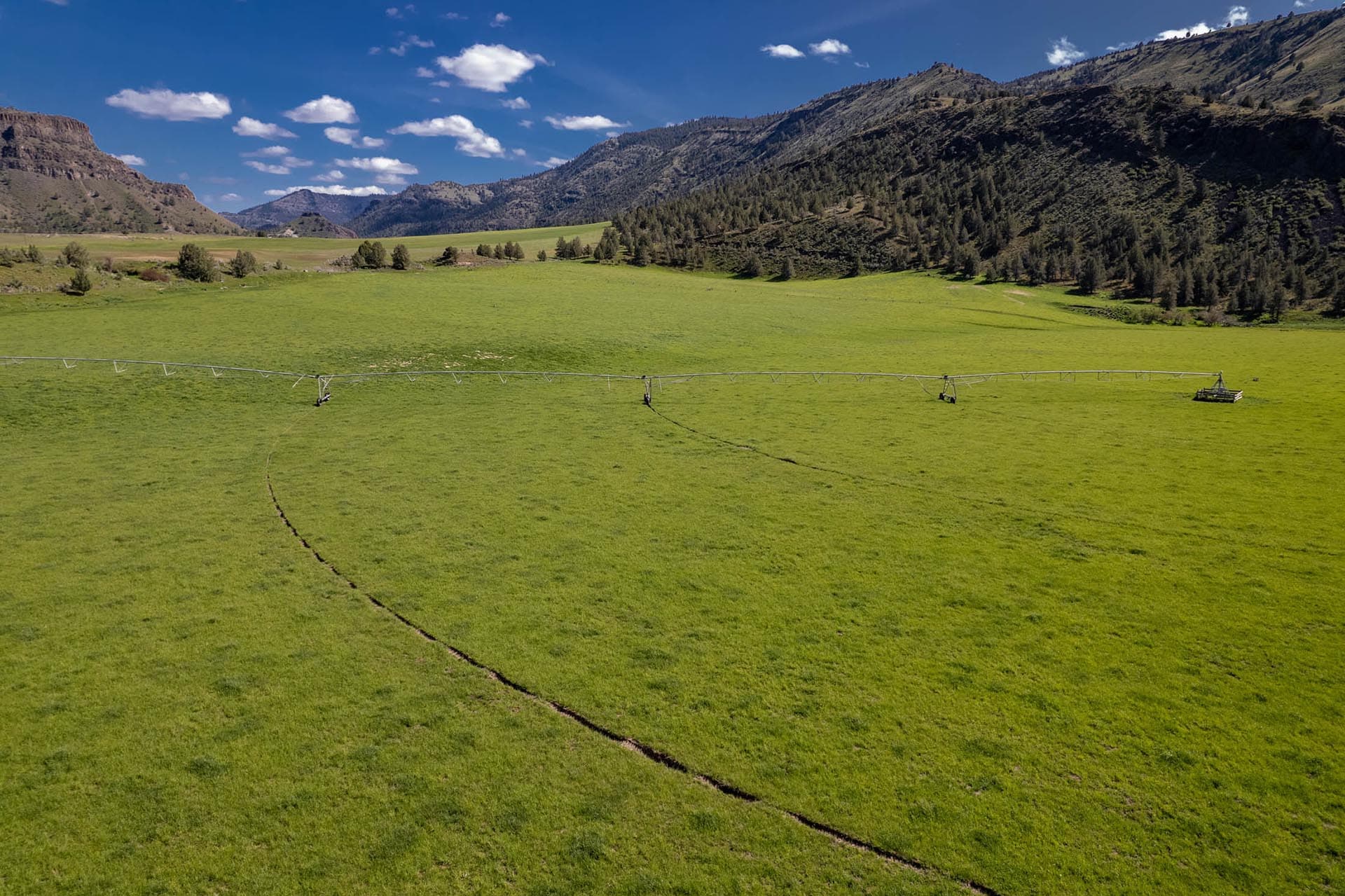 Open green field with a long center-pivot irrigation system stretching across, mountains and a blue sky in the background.