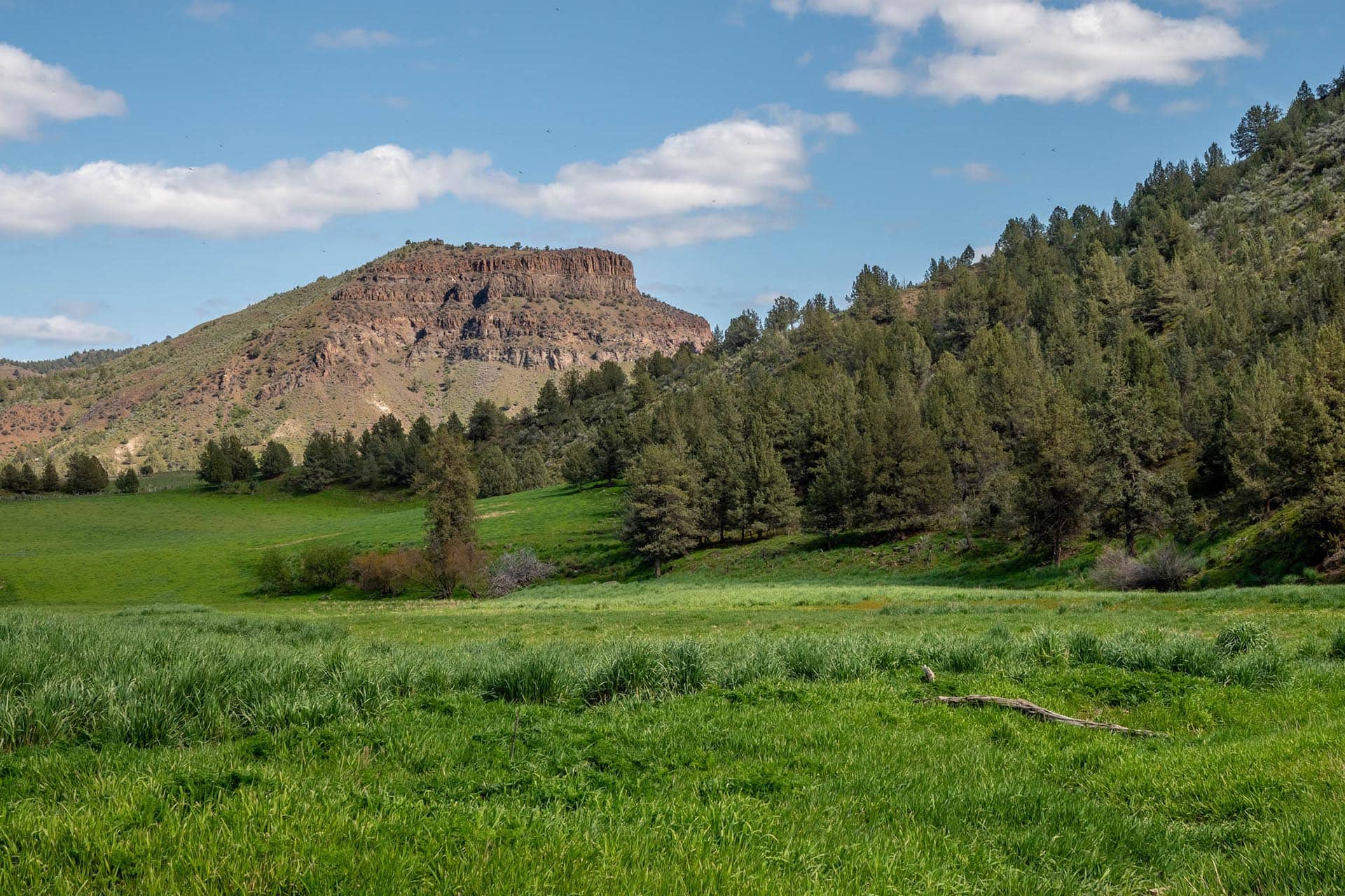 Green meadow in the foreground with a rocky plateau hill and forested hillside under a blue, partly cloudy sky.