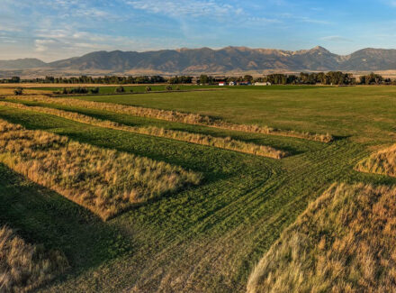 montana land for sale penwell preserve