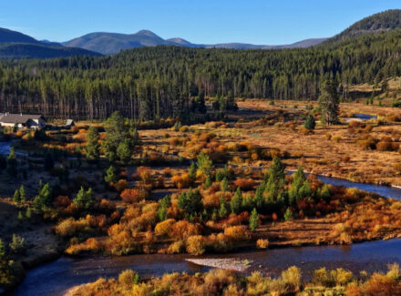 montana land with water for sale middle fork rock creek retreat