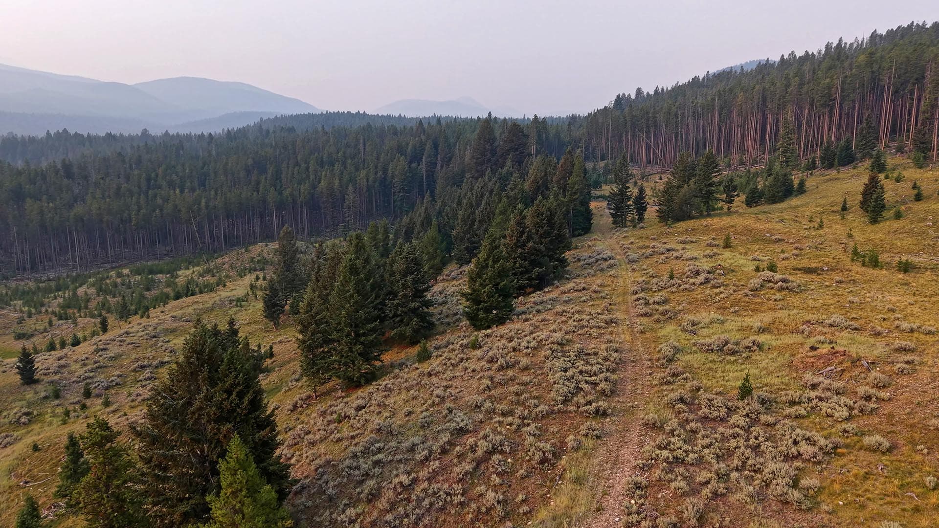 montana ranch guest cabin middle fork rock creek retreat