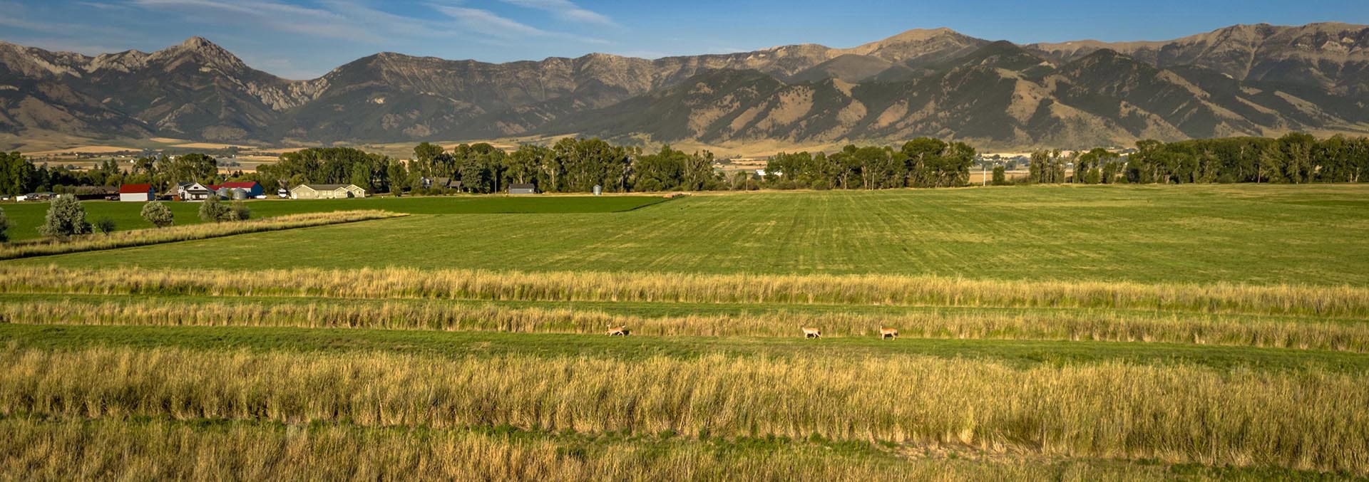 montana recreational property for sale penwell preserve