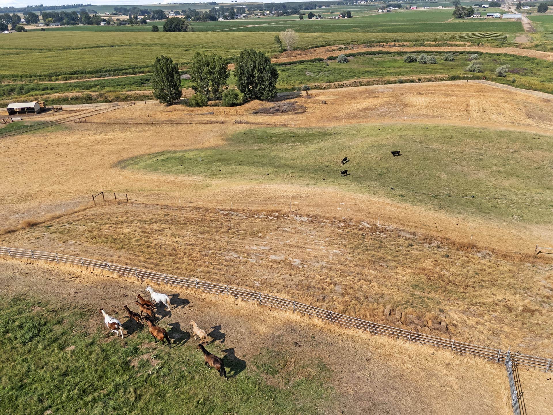 mountain view acreage for sale idaho equestrian estate lot