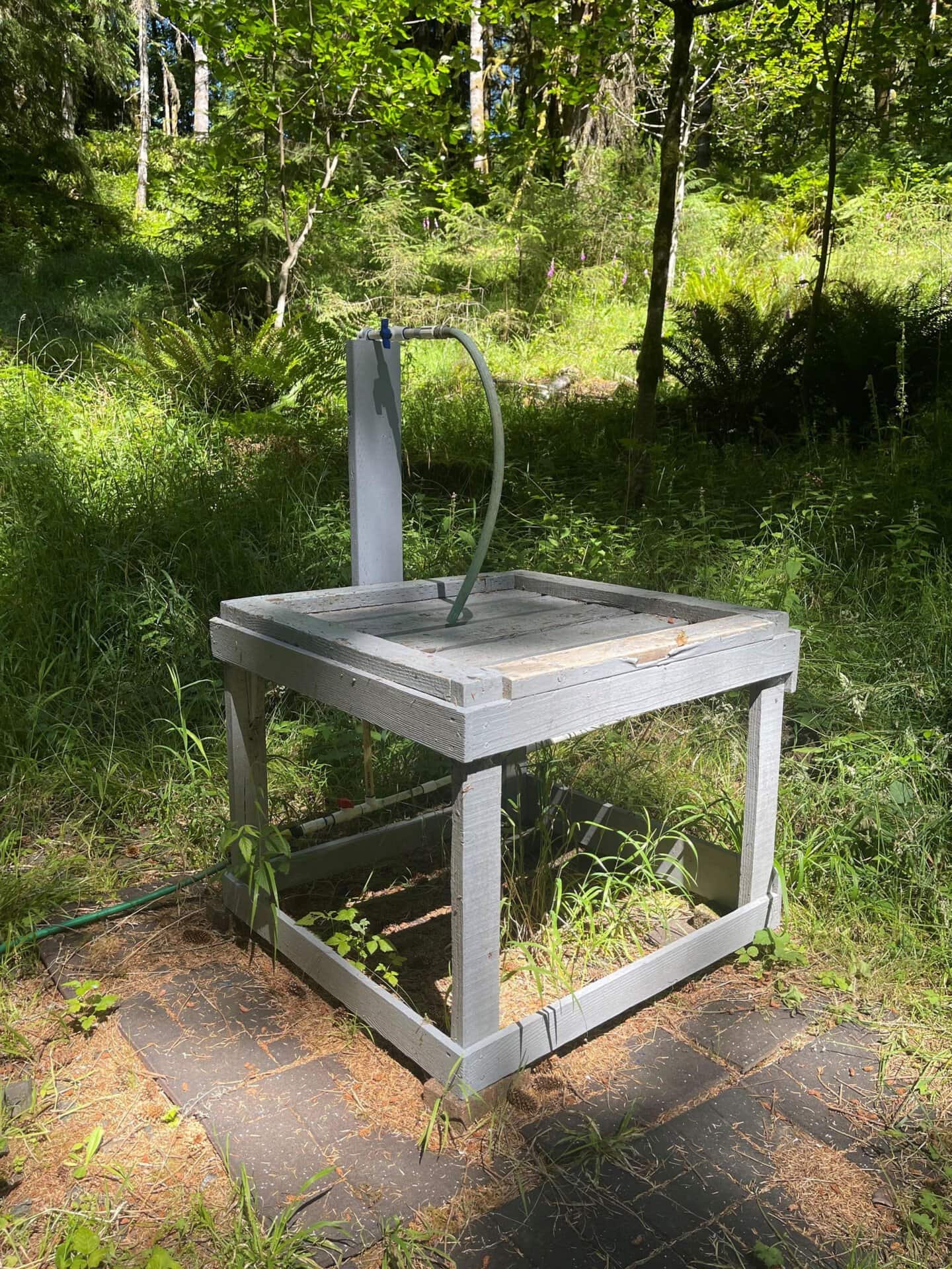 natural spring water washington tall timber at willapa ridge