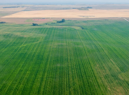 north dakota agriculture land for sale green river acres