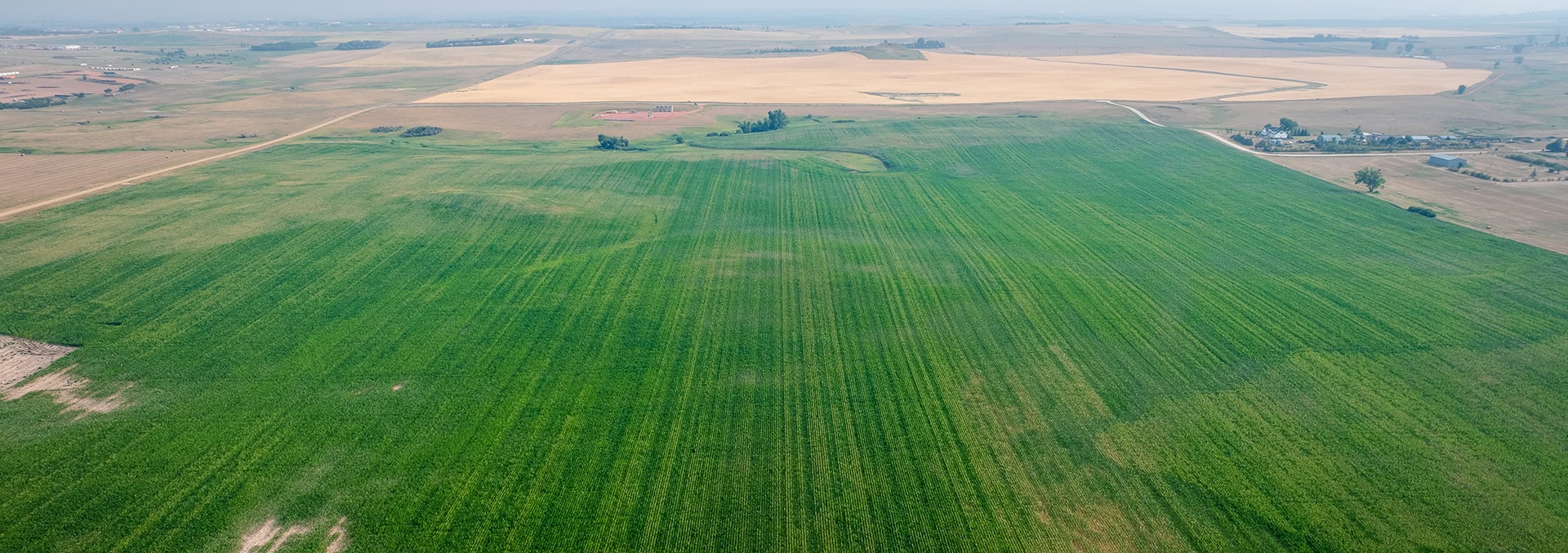 north dakota agriculture land for sale green river acres