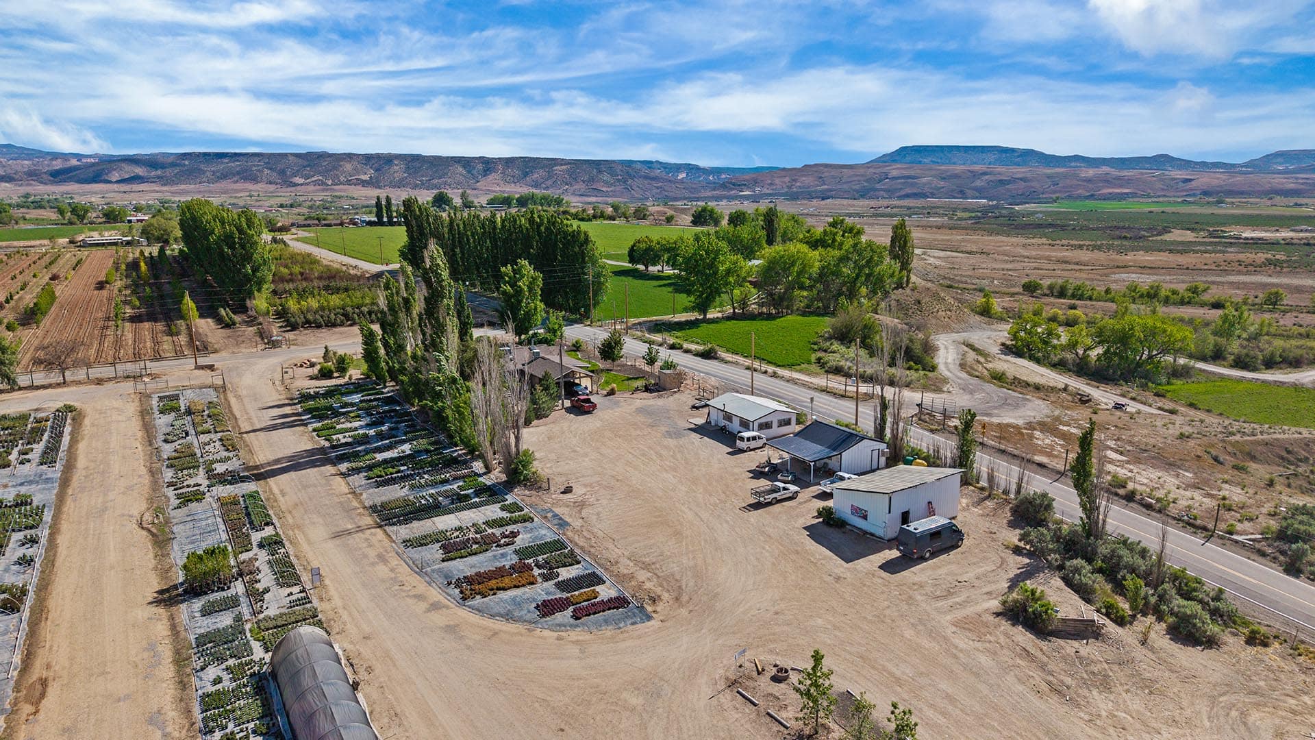 A rural plant nursery with rows of potted plants on gravel plots, a small building and vehicles by a dirt road, set in a green valley.
