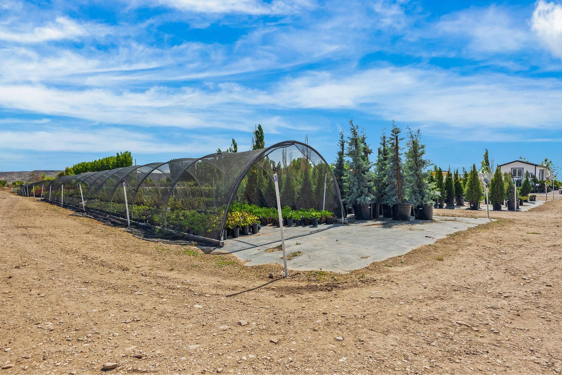 Nursery with semicircular hoop tunnels covering rows of potted plants under a blue sky.