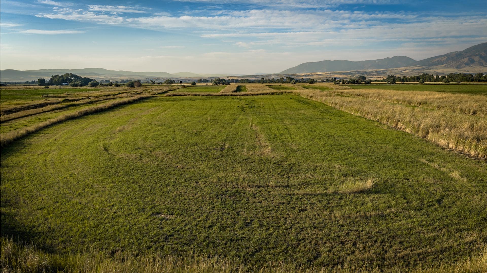 open pasture land for sale montana penwell preserve