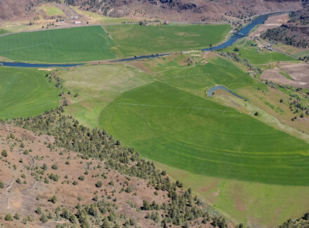 oregon farm for sale north fork john day river farm