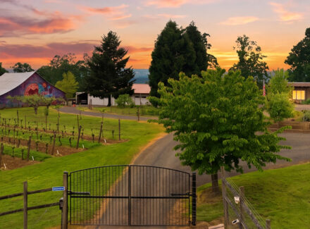 oregon land with homes for sale willamette wine country estate