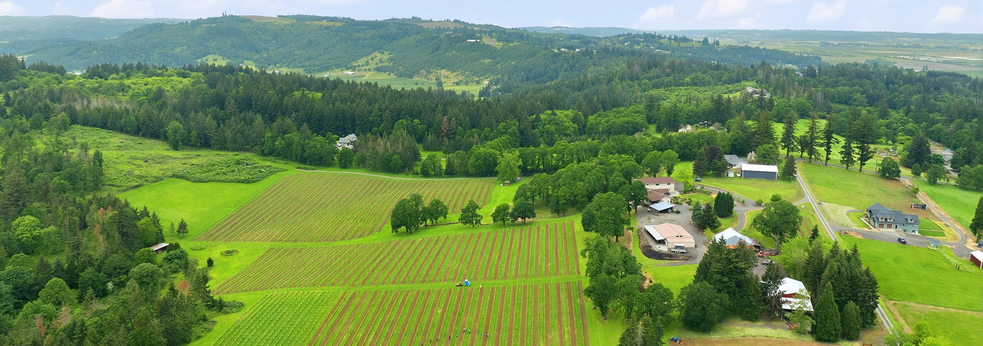 Aerial view of a farm with neatly planted crop rows, green fields, and a cluster of houses surrounded by trees.