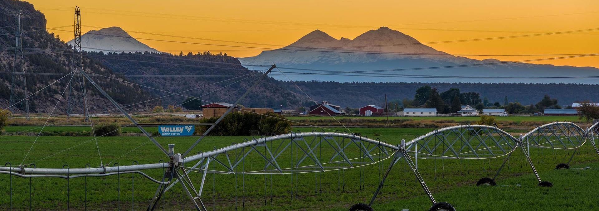 Center-pivot irrigation equipment spans a green field with distant barns and a mountain range at sunset.