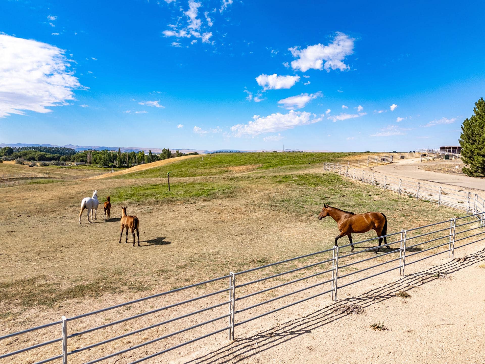 owyhee mountain view lot for sale idaho equestrian estate lot