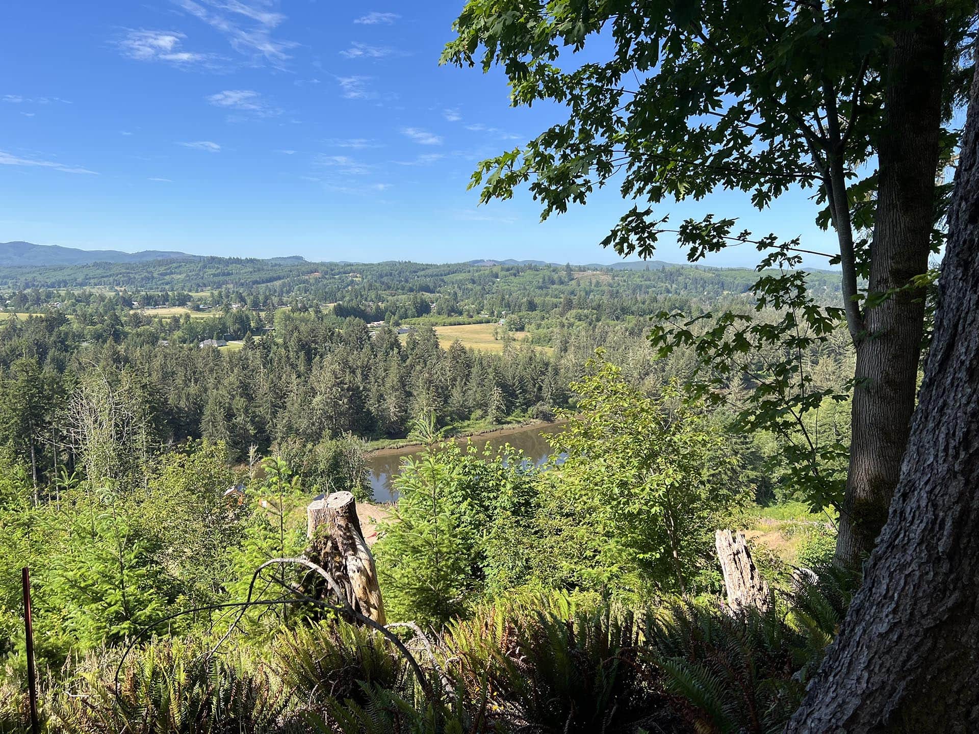 pacific county elk migration corridor washington tall timber on willapa ridge