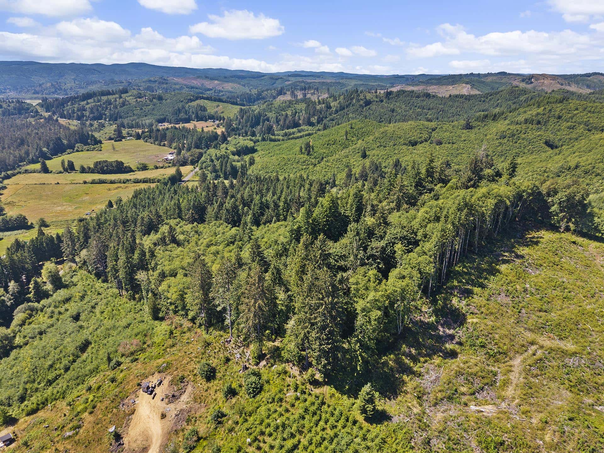 pacific county recreational land for sale washington tall timber on willapa ridge
