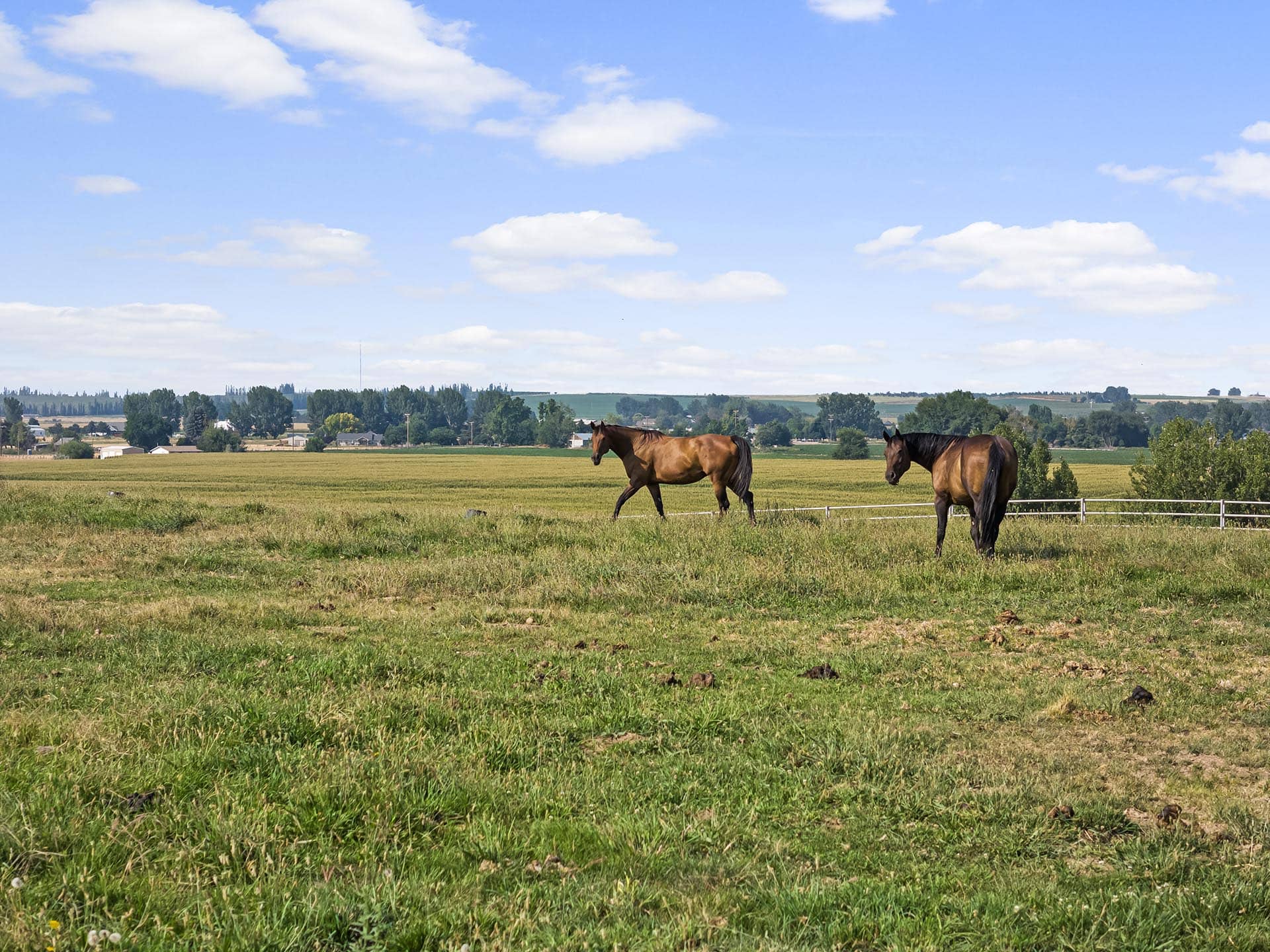 panoramic mountain view property for sale idaho equestrian estate lot