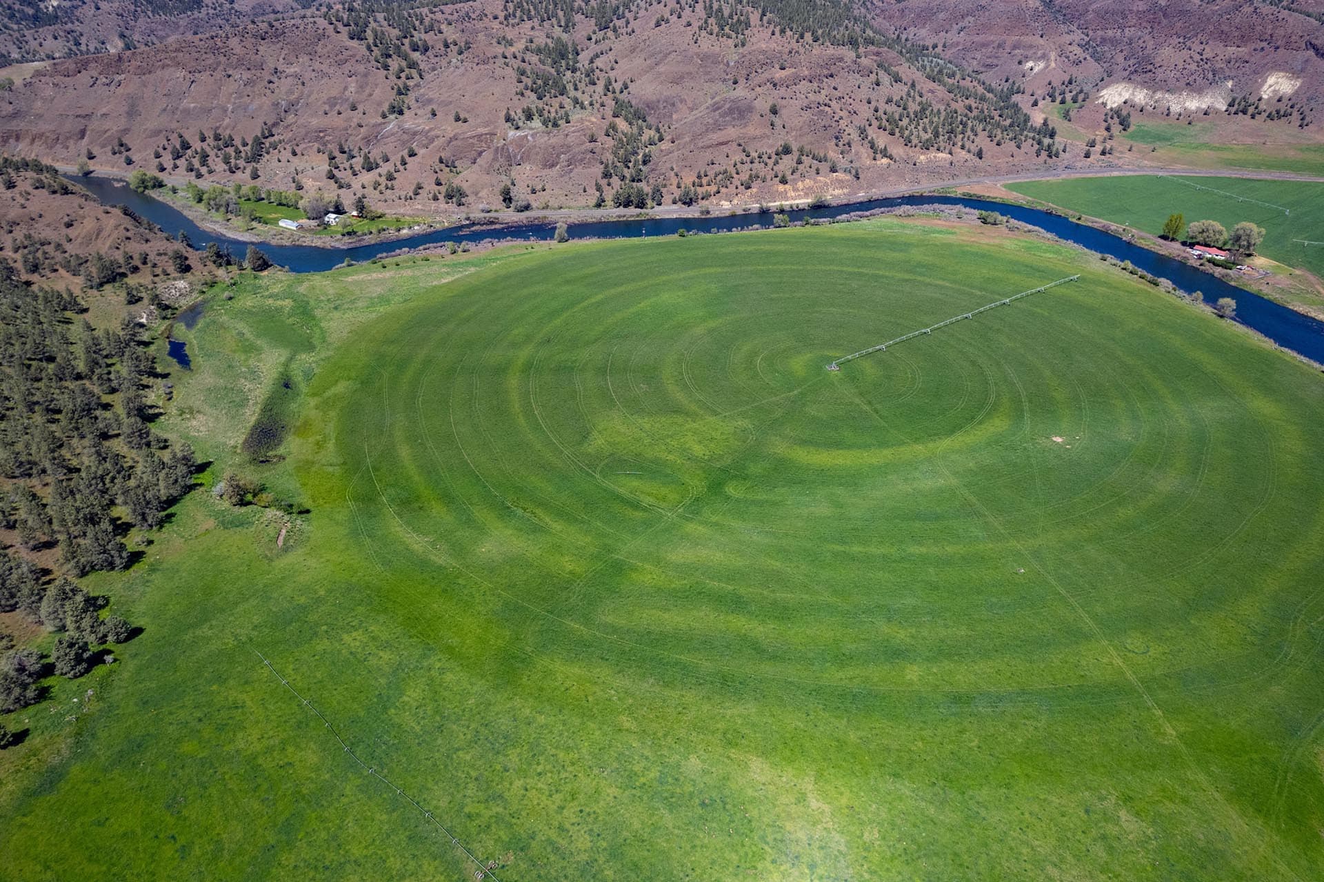 Aerial view of a large green field with circular center-pivot irrigation patterns and a winding river along the hillsides in the background.