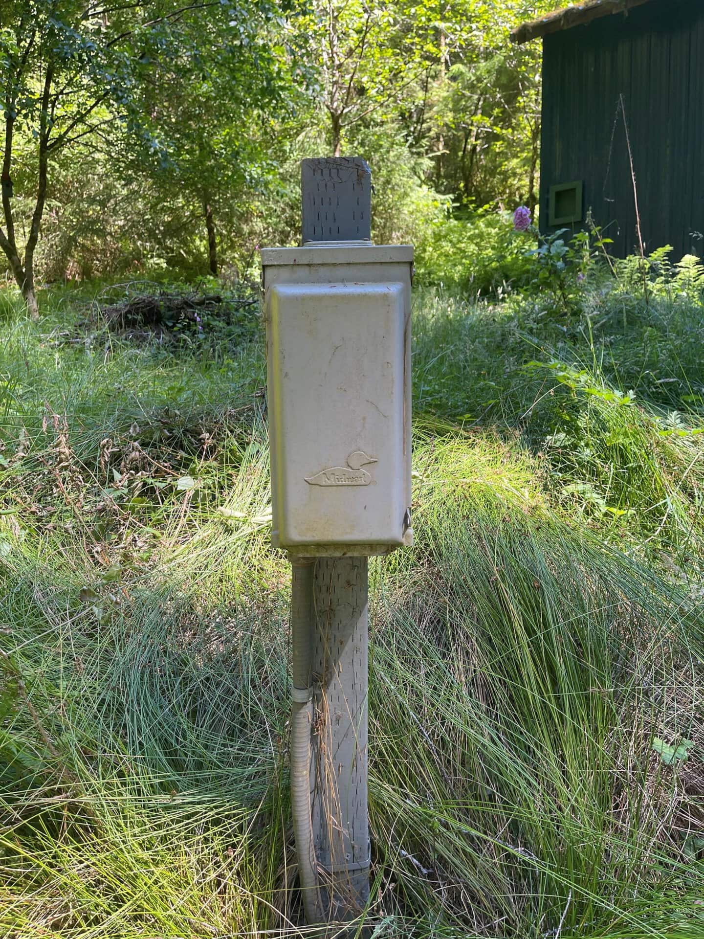 Weathered metal electrical box on a wooden post in an overgrown grassy yard, with trees and a green shed in the background.