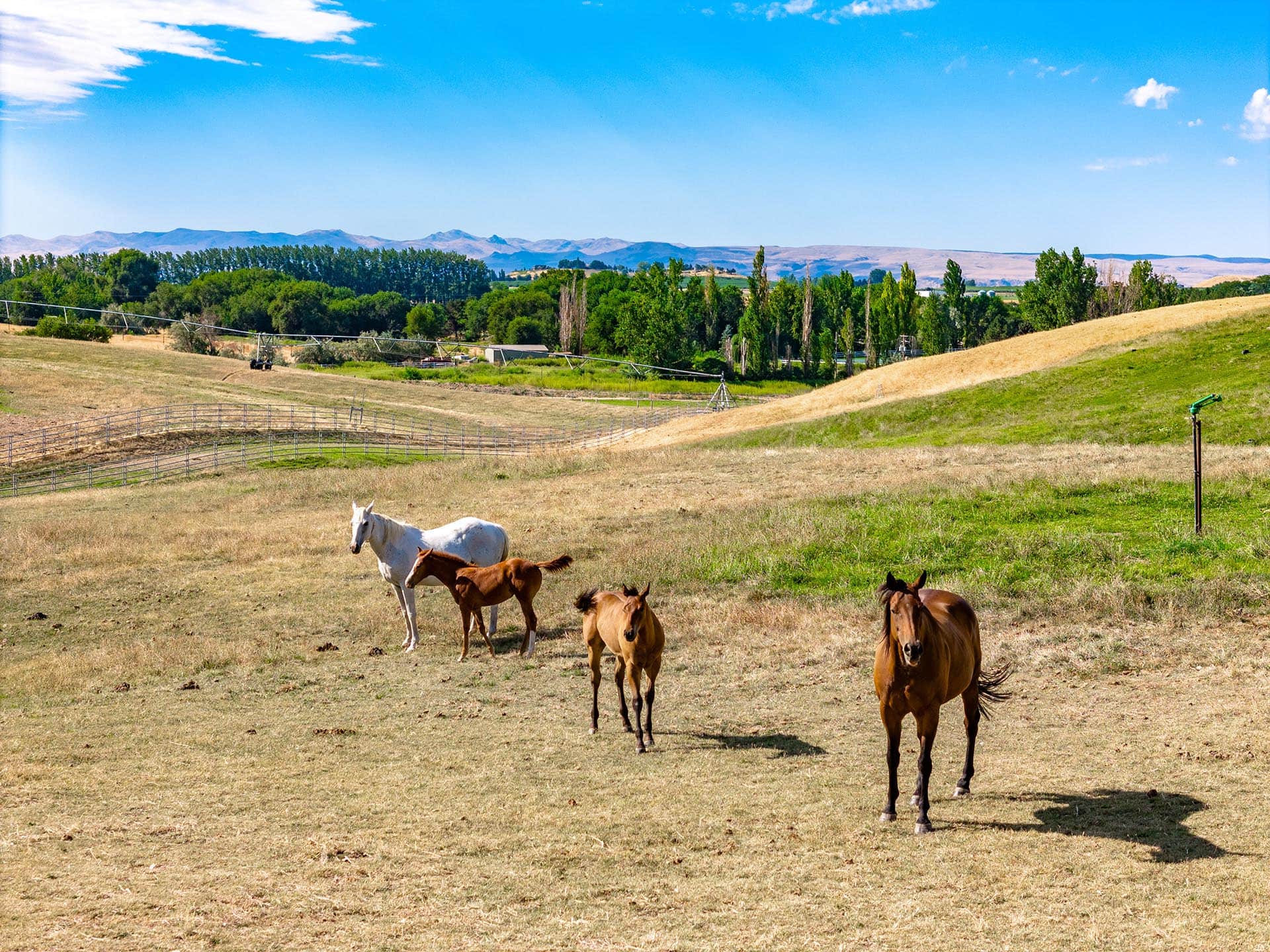 pressure irrigation land for sale idaho equestrian estate lot