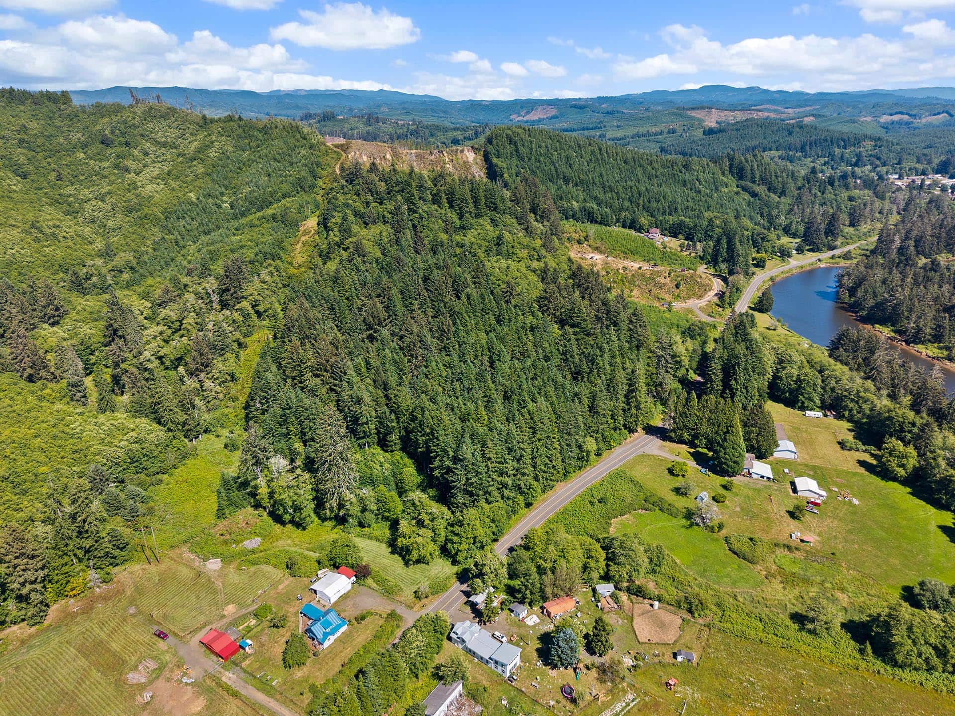 Aerial view of a forested hillside with a winding road, small houses, and a lake along the right edge.