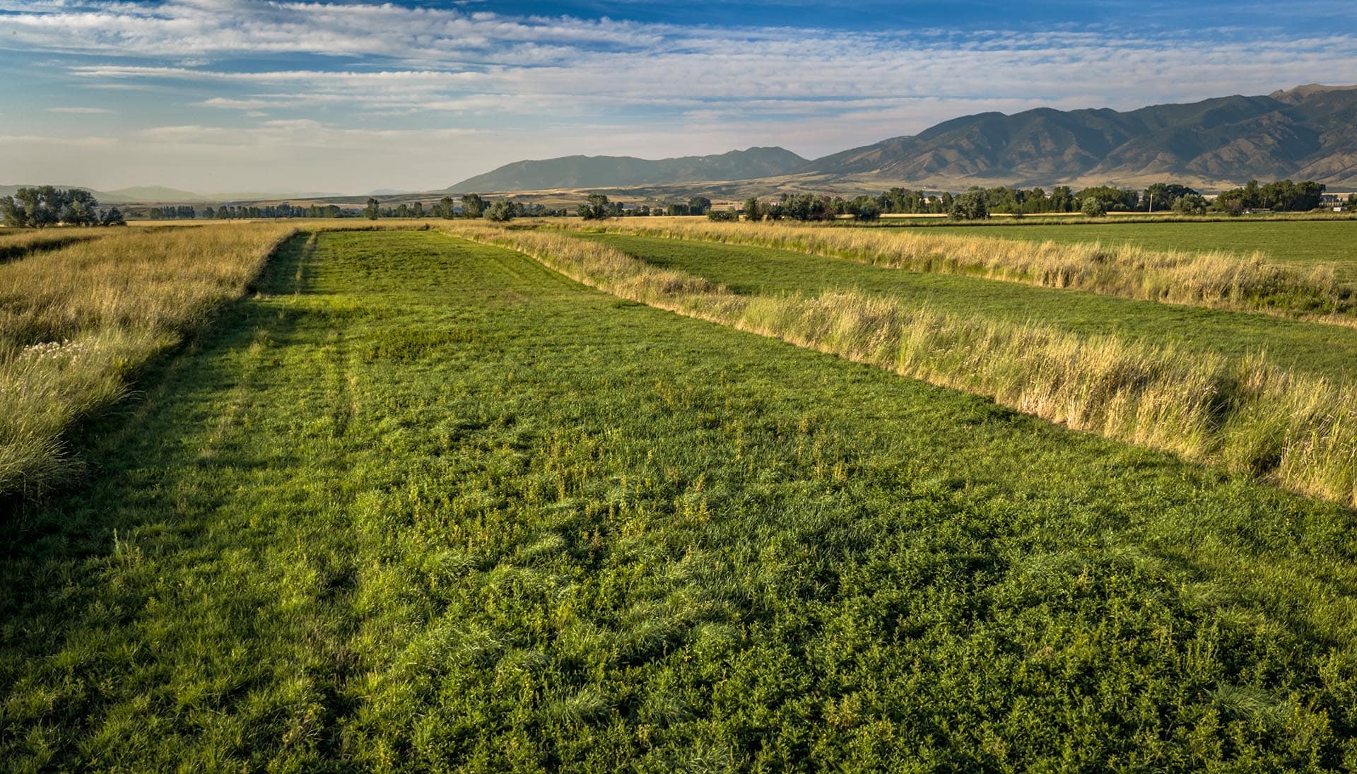 productive farm land for sale montana penwell preserve