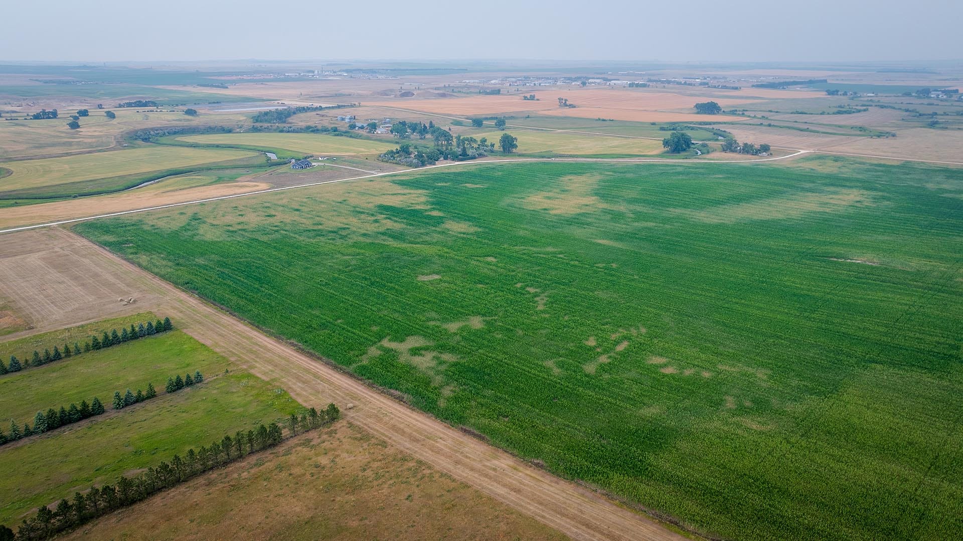 Aerial view of patchwork farmland with green fields, brown soil strips, and a winding road across the fields.
