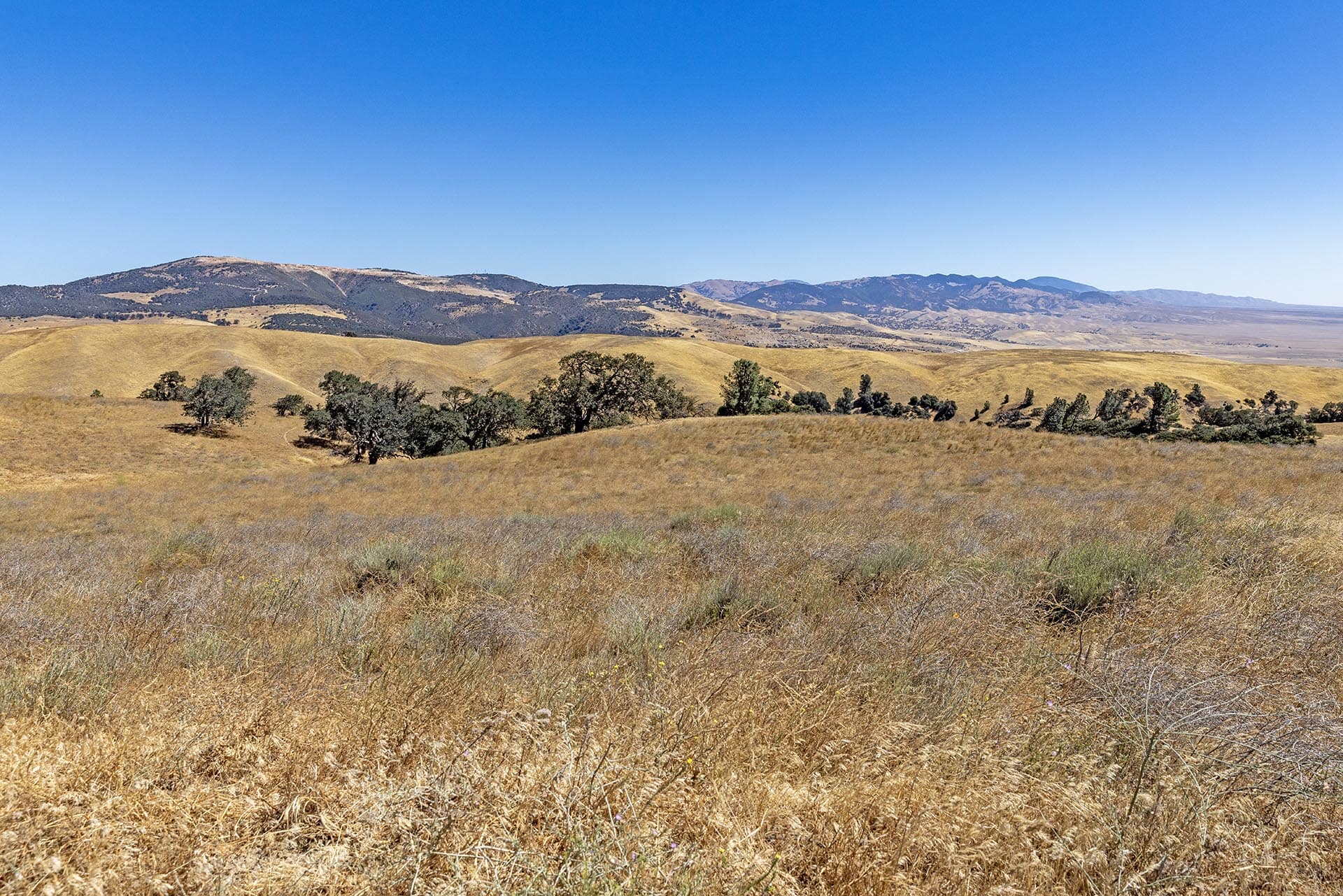 ranch for sale southern california gorman post ranch