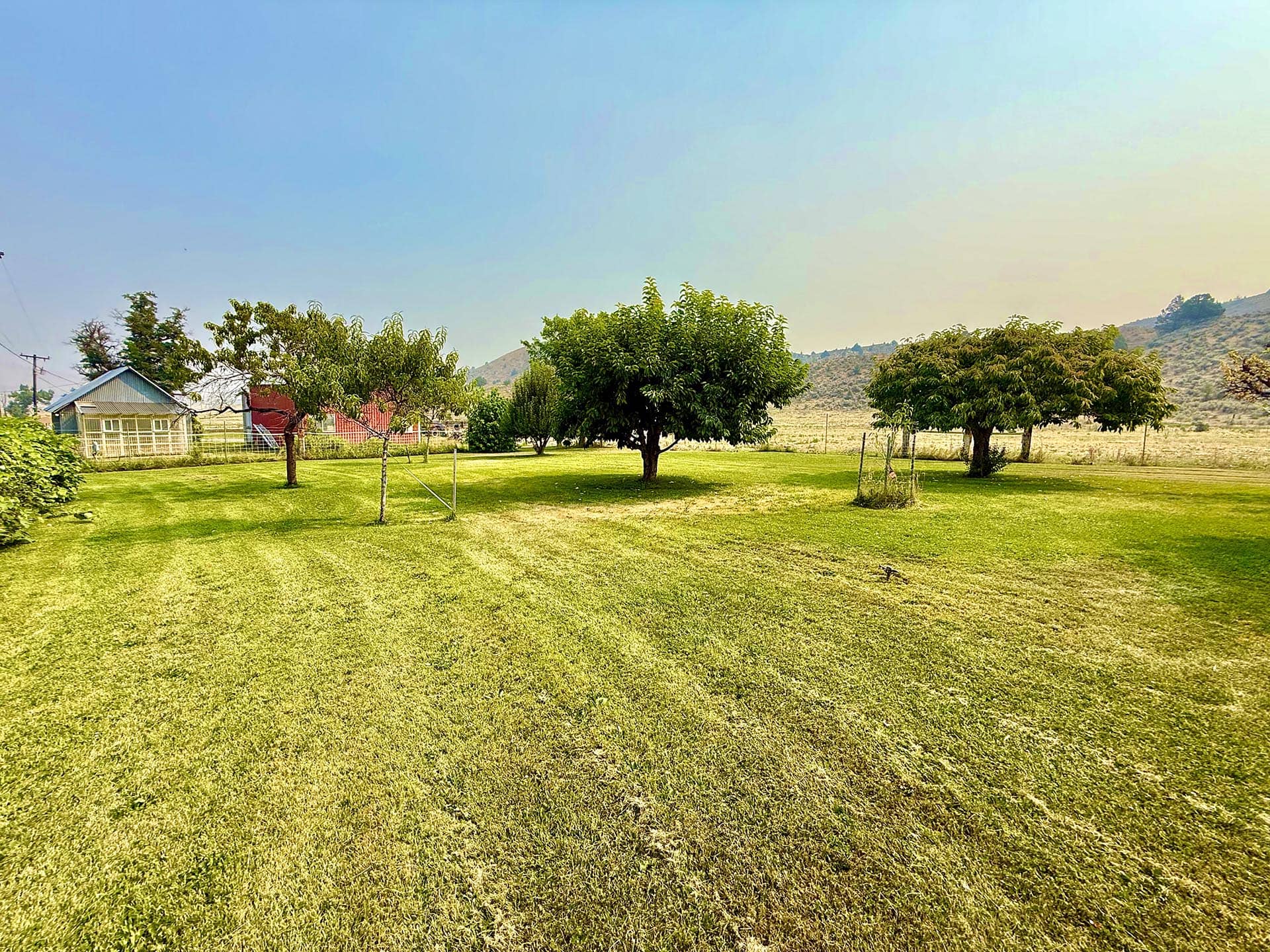 ranch property grounds with scattered trees hunting sporting for sale oregon powell creek ranch