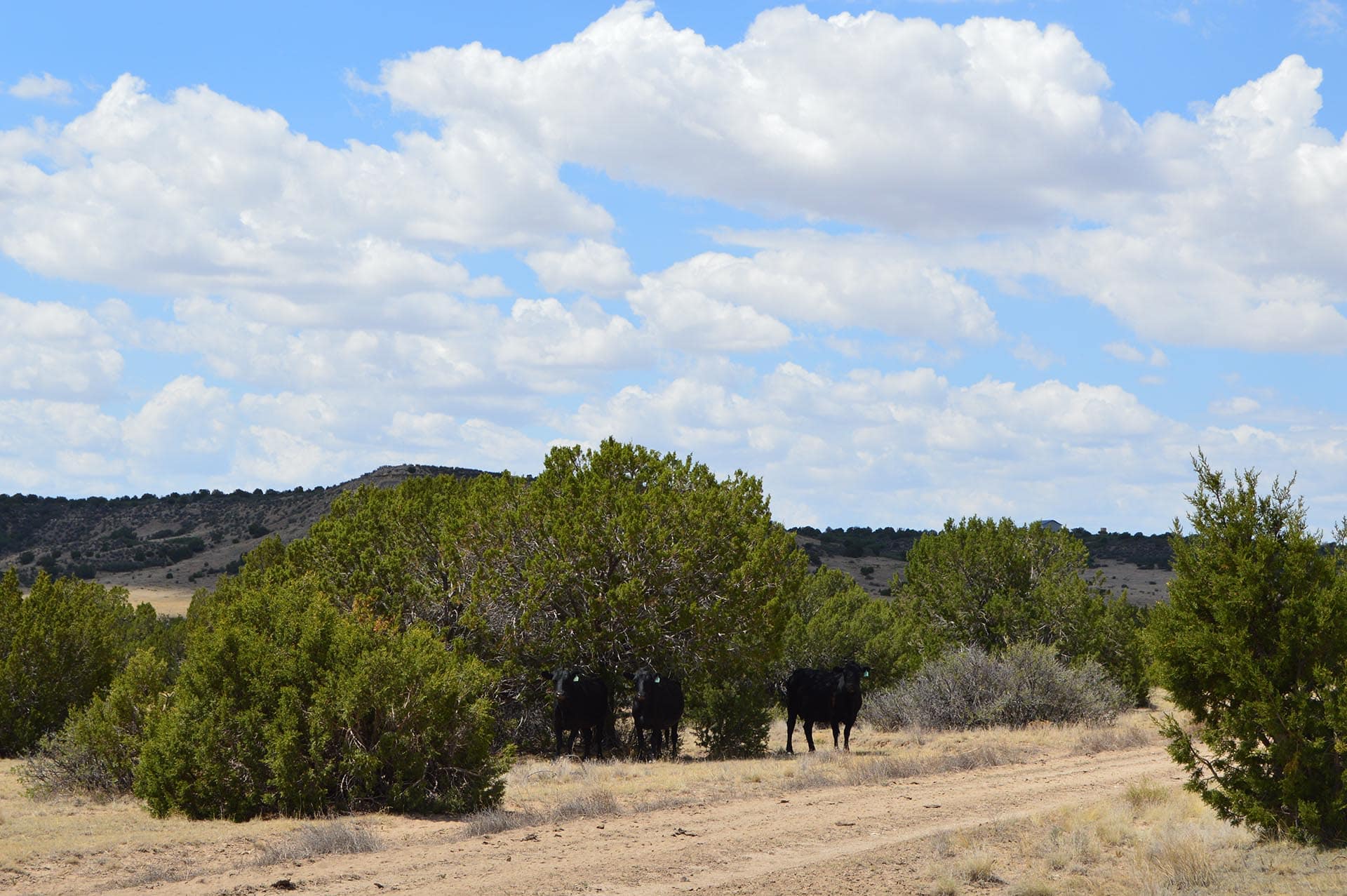 ranches for sale with water rights co colorado 6 s ranch