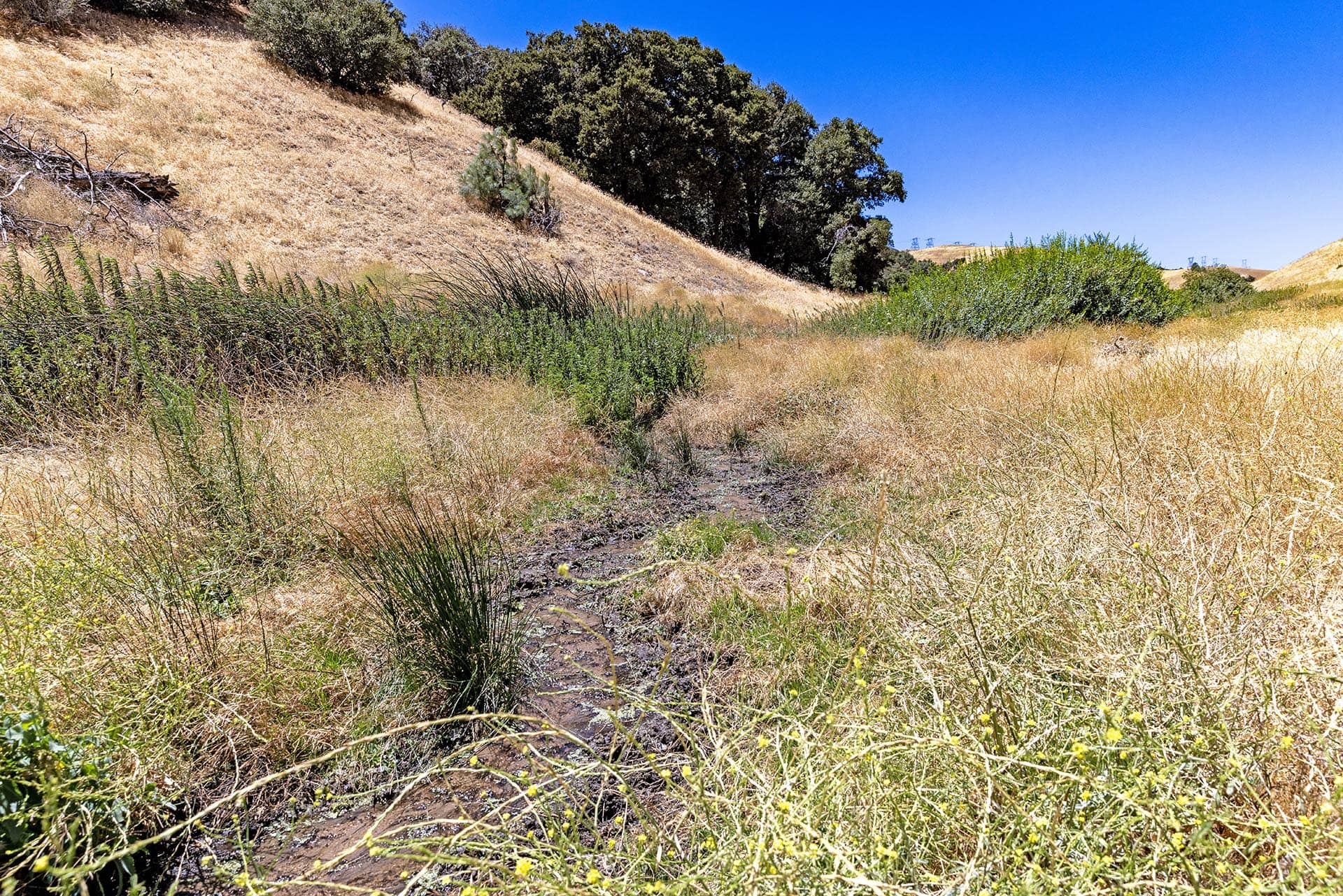 recreational ranch with natural springs for sale california gorman post ranch