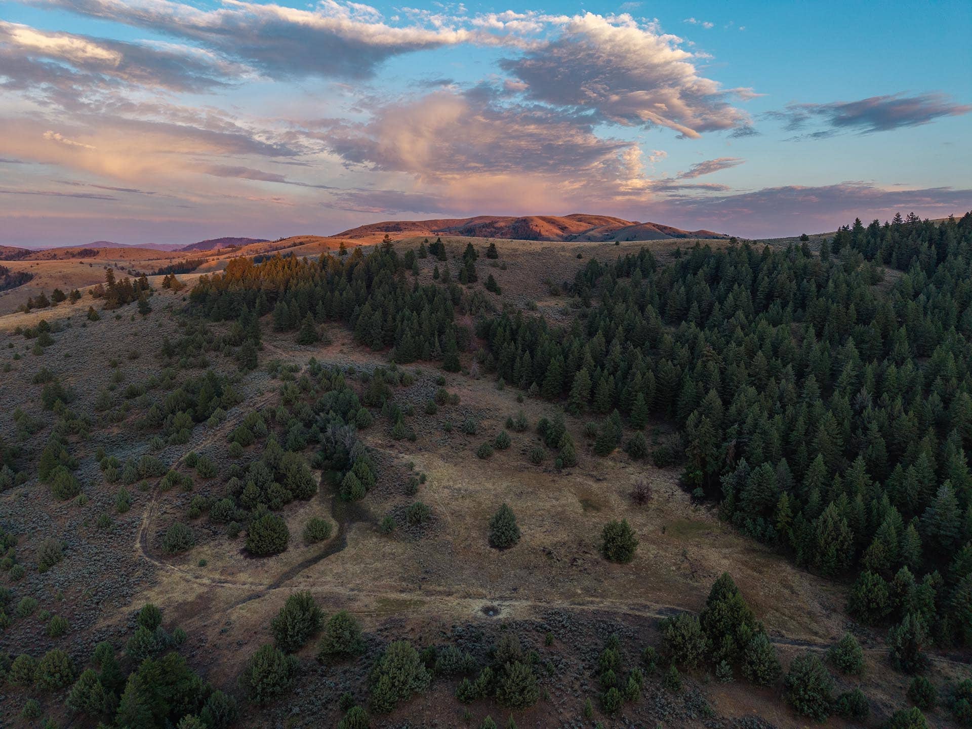 recreational trails through timbered hunting sporting for sale oregon powell creek ranch