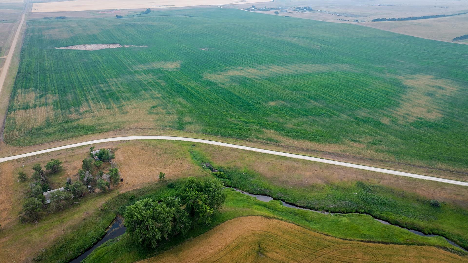 Aerial view of green agricultural fields with a curved road and a meandering waterway cutting through fields.